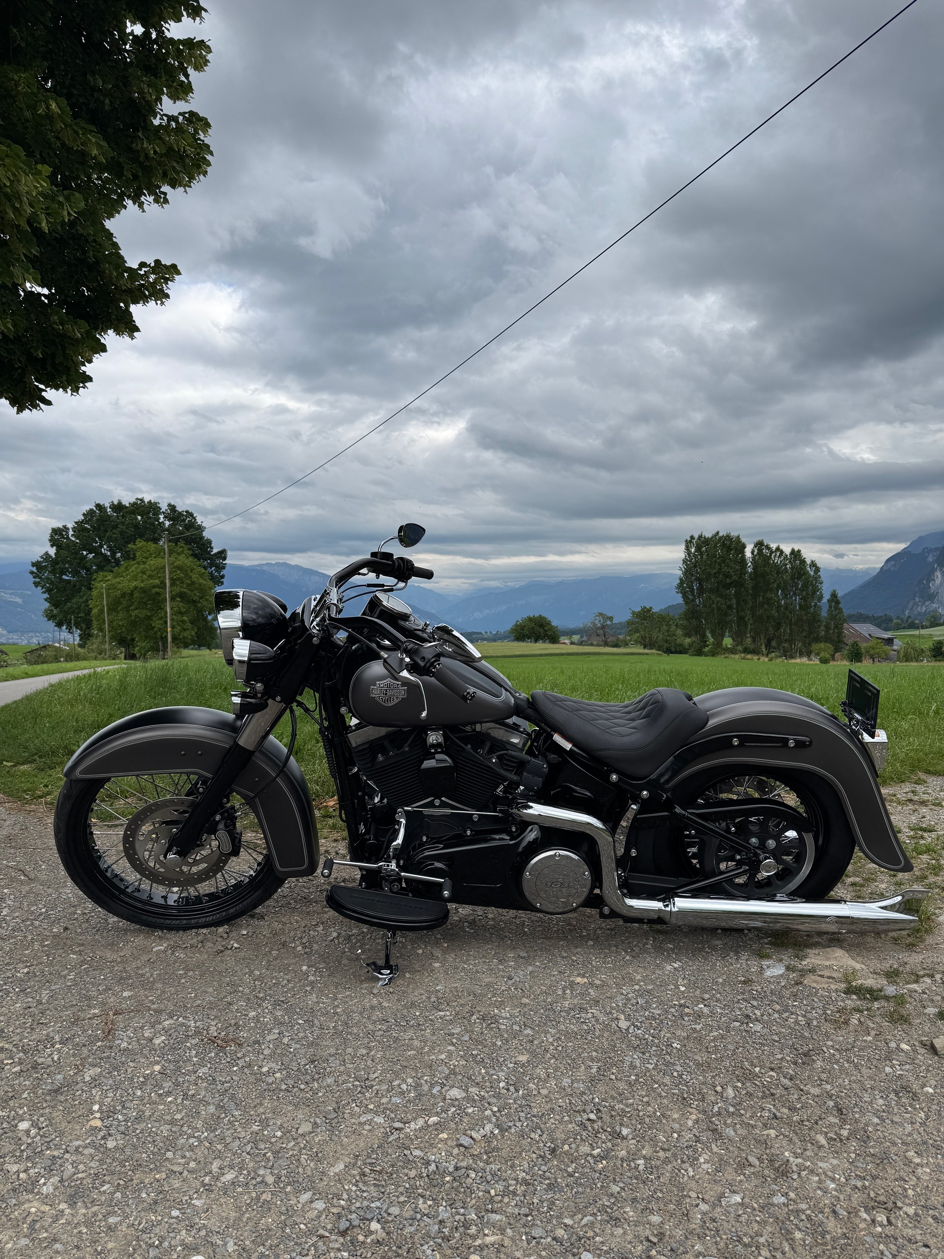 HARLEY-DAVIDSON FLS Softail Slim ABS-image-3