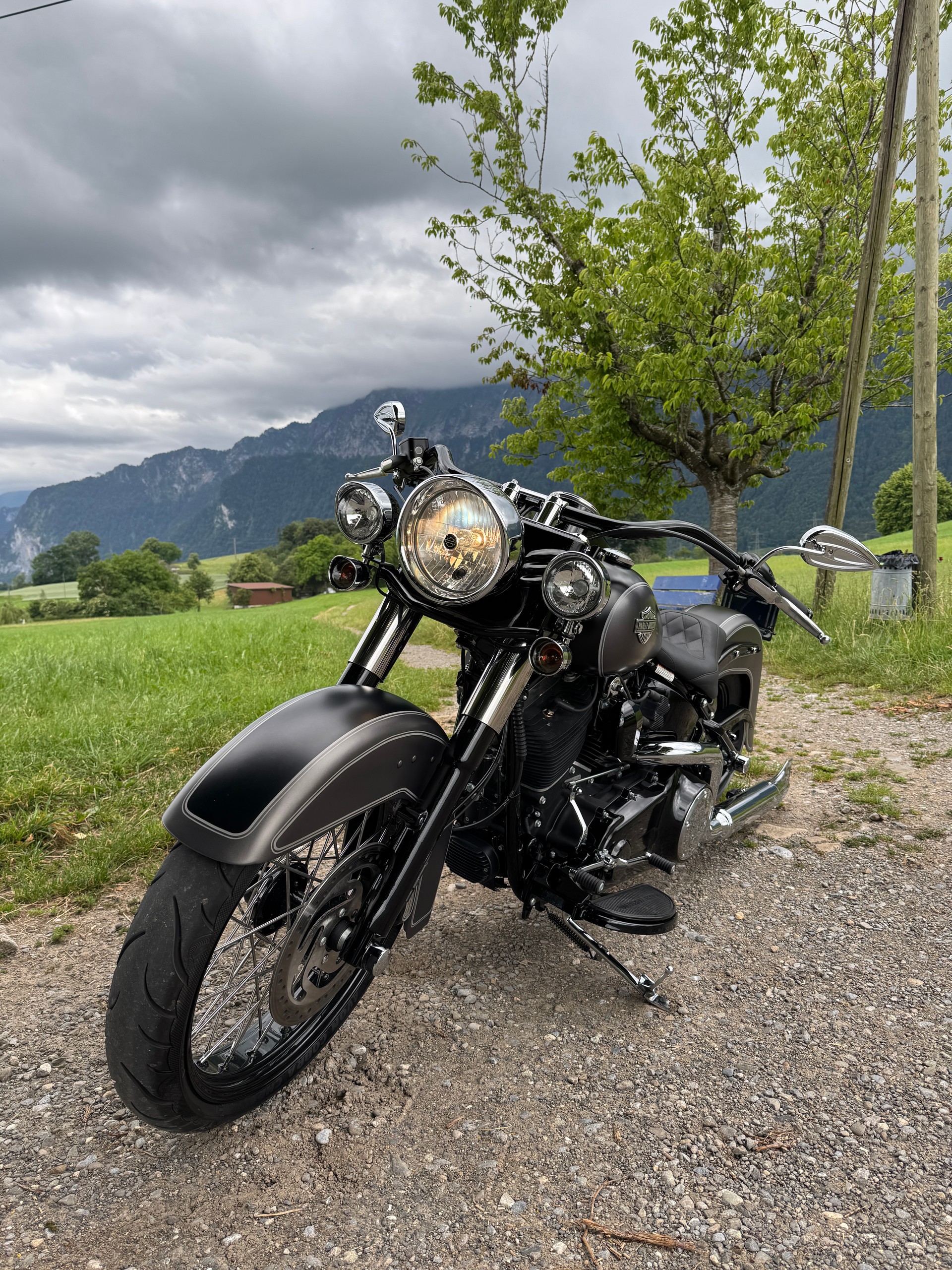HARLEY-DAVIDSON FLS Softail Slim ABS-image-1