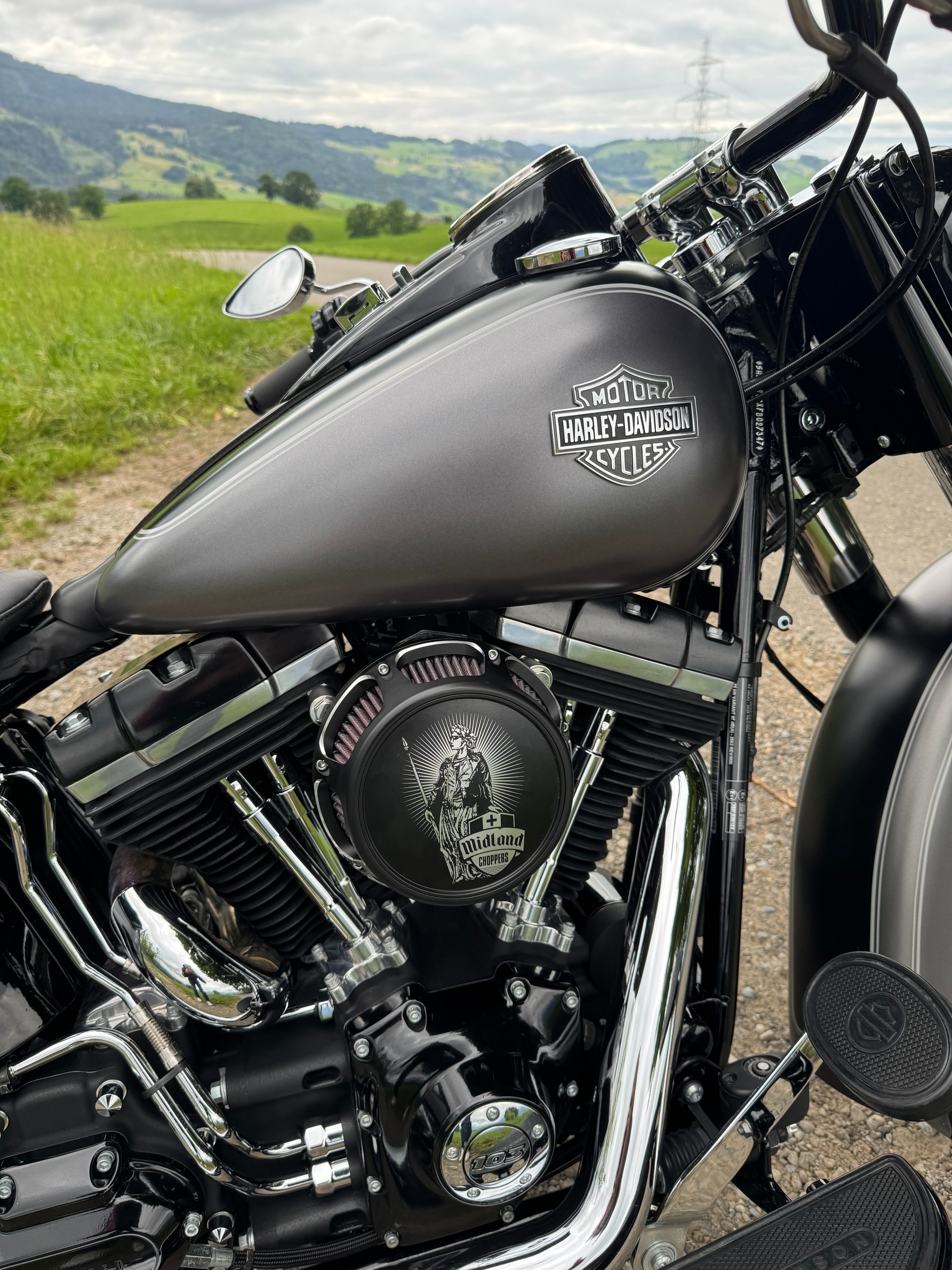 HARLEY-DAVIDSON FLS Softail Slim ABS-image-7