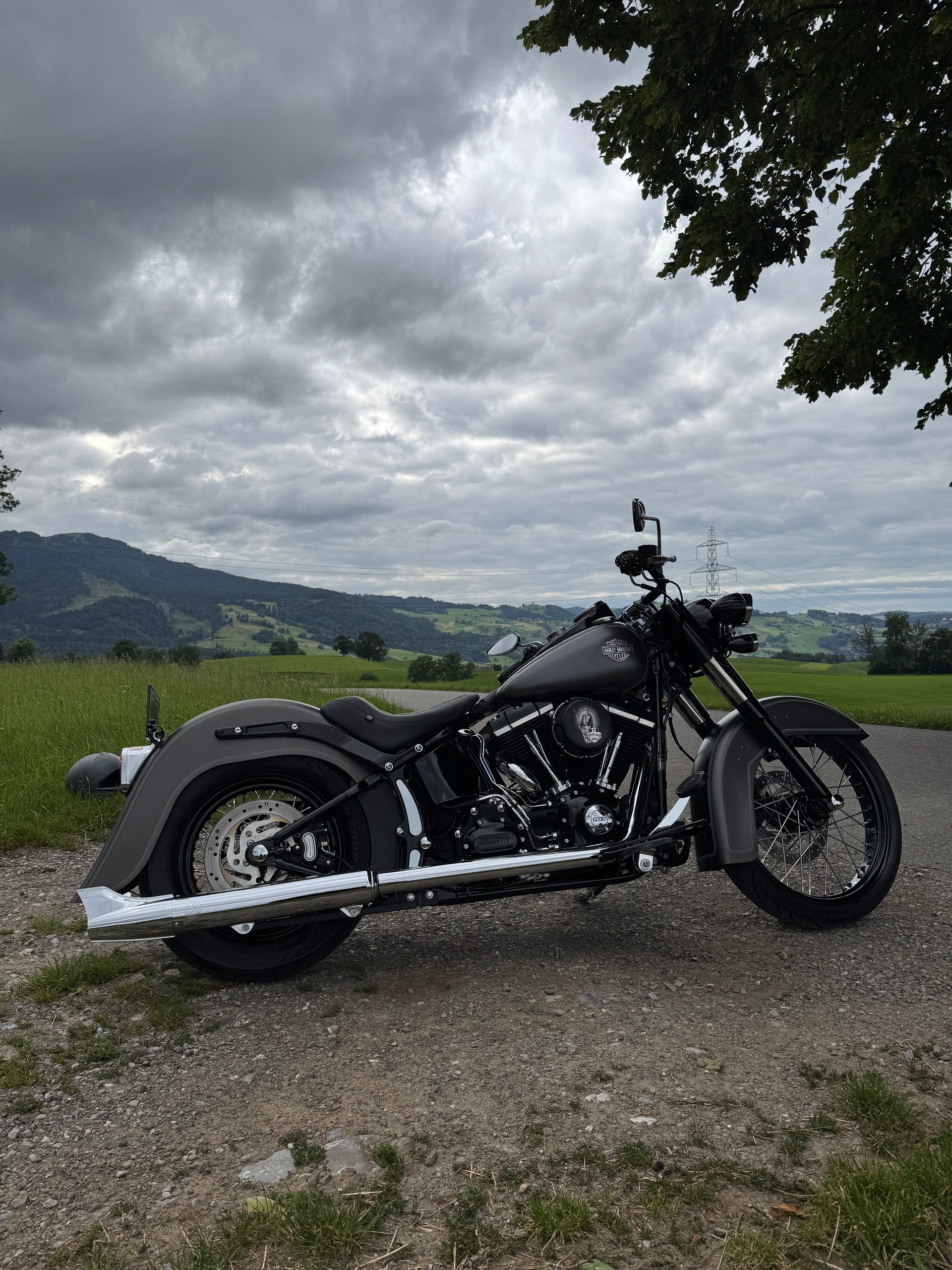 HARLEY-DAVIDSON FLS Softail Slim ABS-image-4
