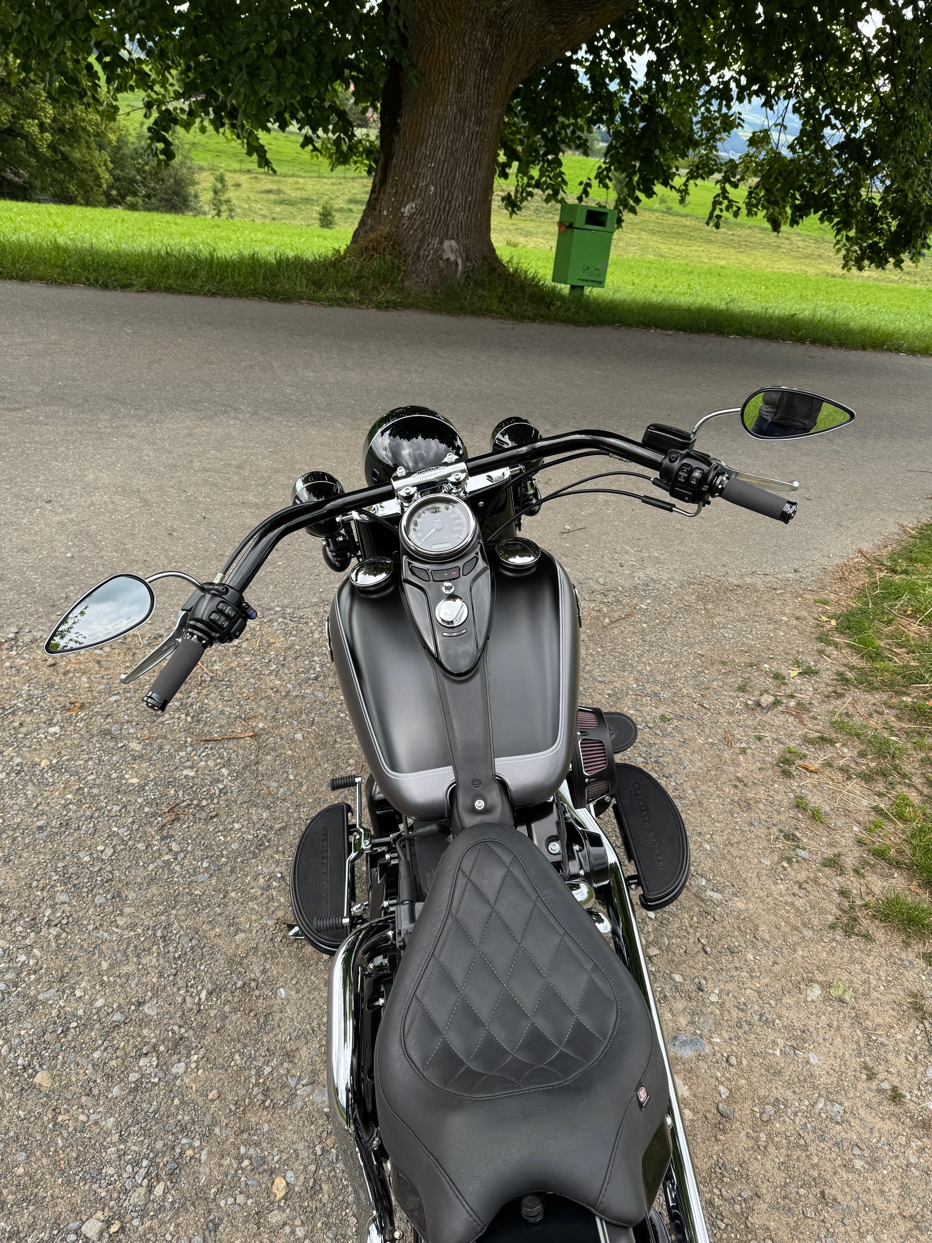 HARLEY-DAVIDSON FLS Softail Slim ABS-image-9