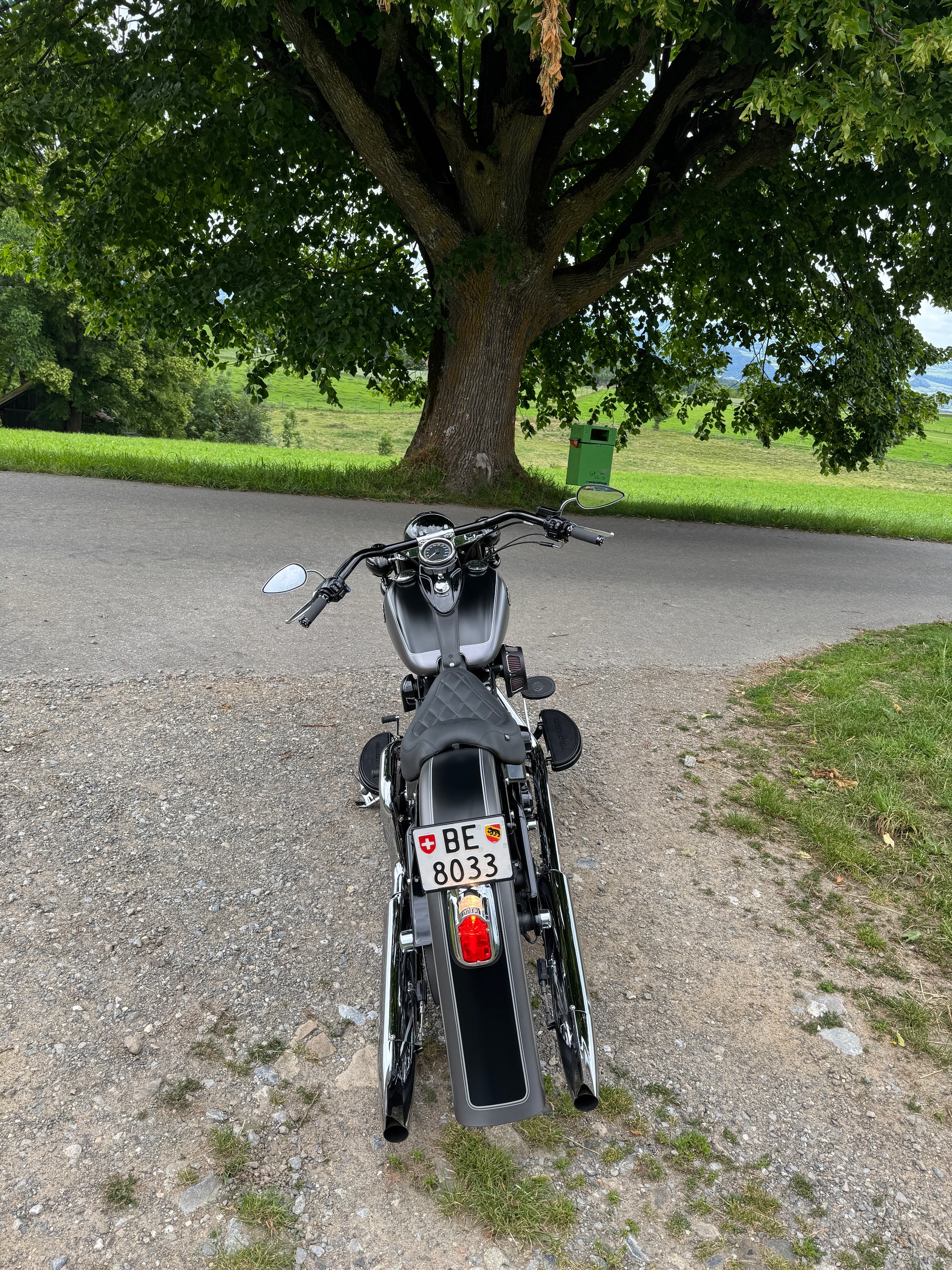 HARLEY-DAVIDSON FLS Softail Slim ABS-image-6