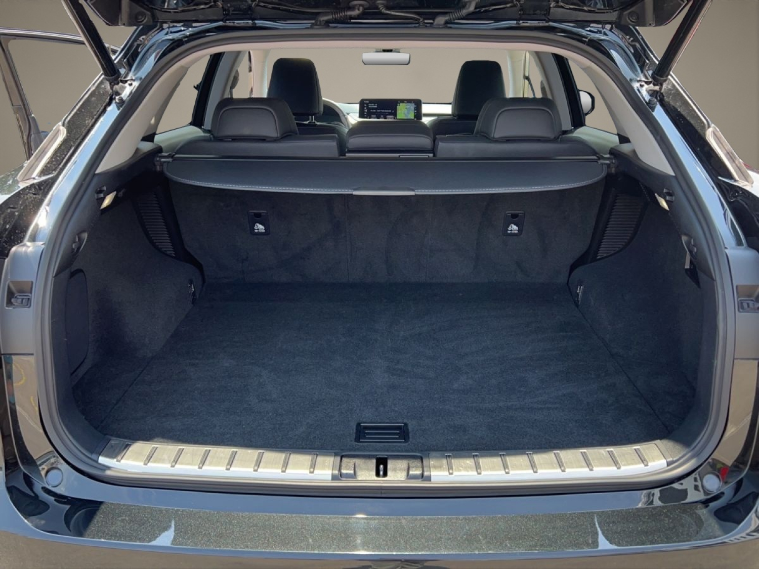 LEXUS RX 450h X-image-14