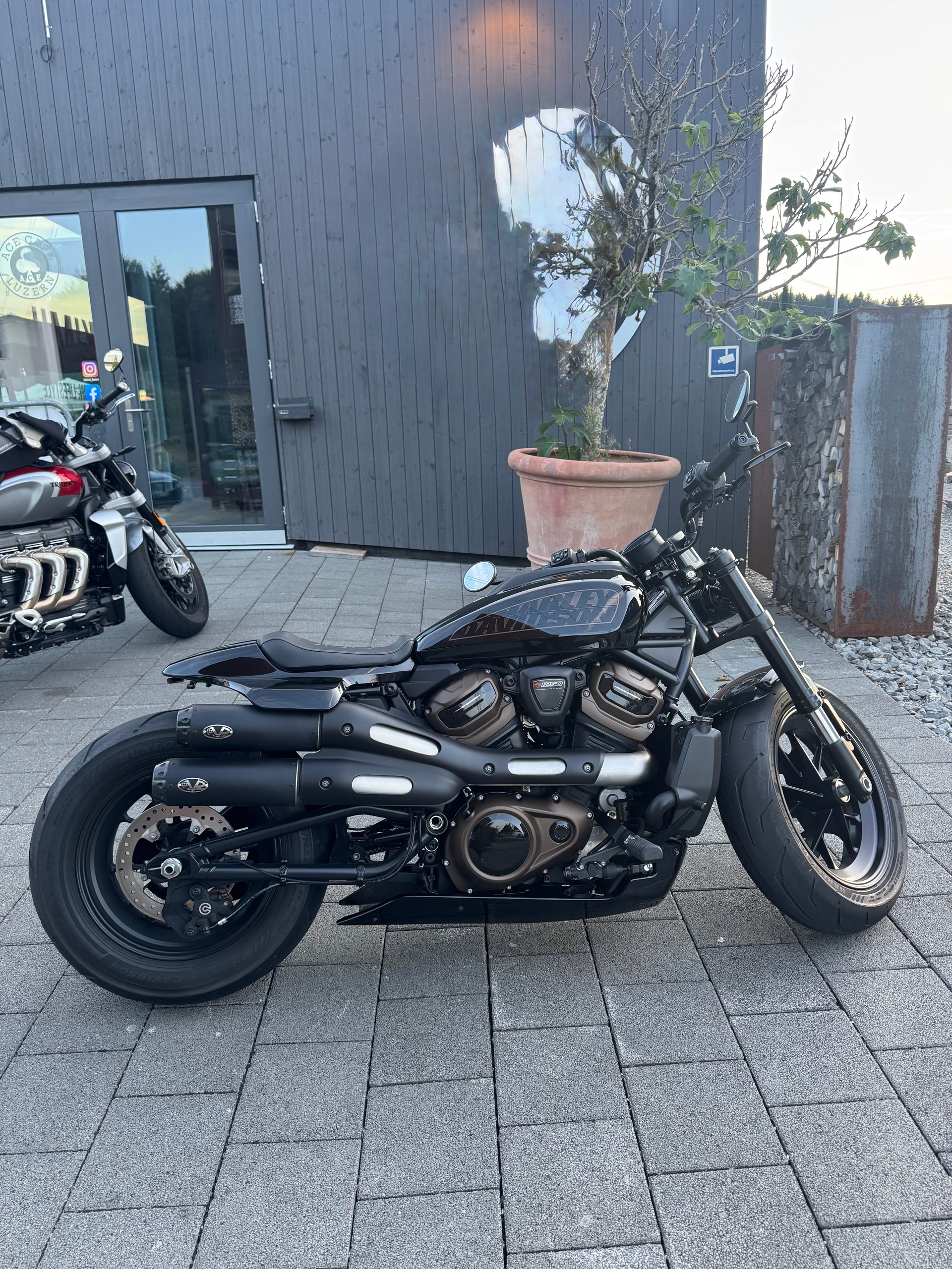 HARLEY-DAVIDSON RH 1250 Sportster S-image-0