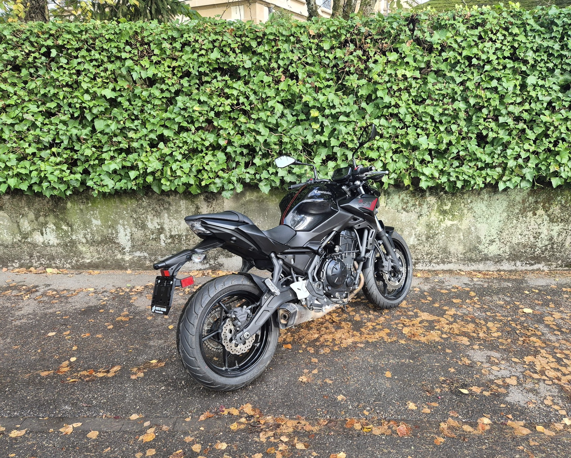 KAWASAKI Z 650 (35kW)-image-5