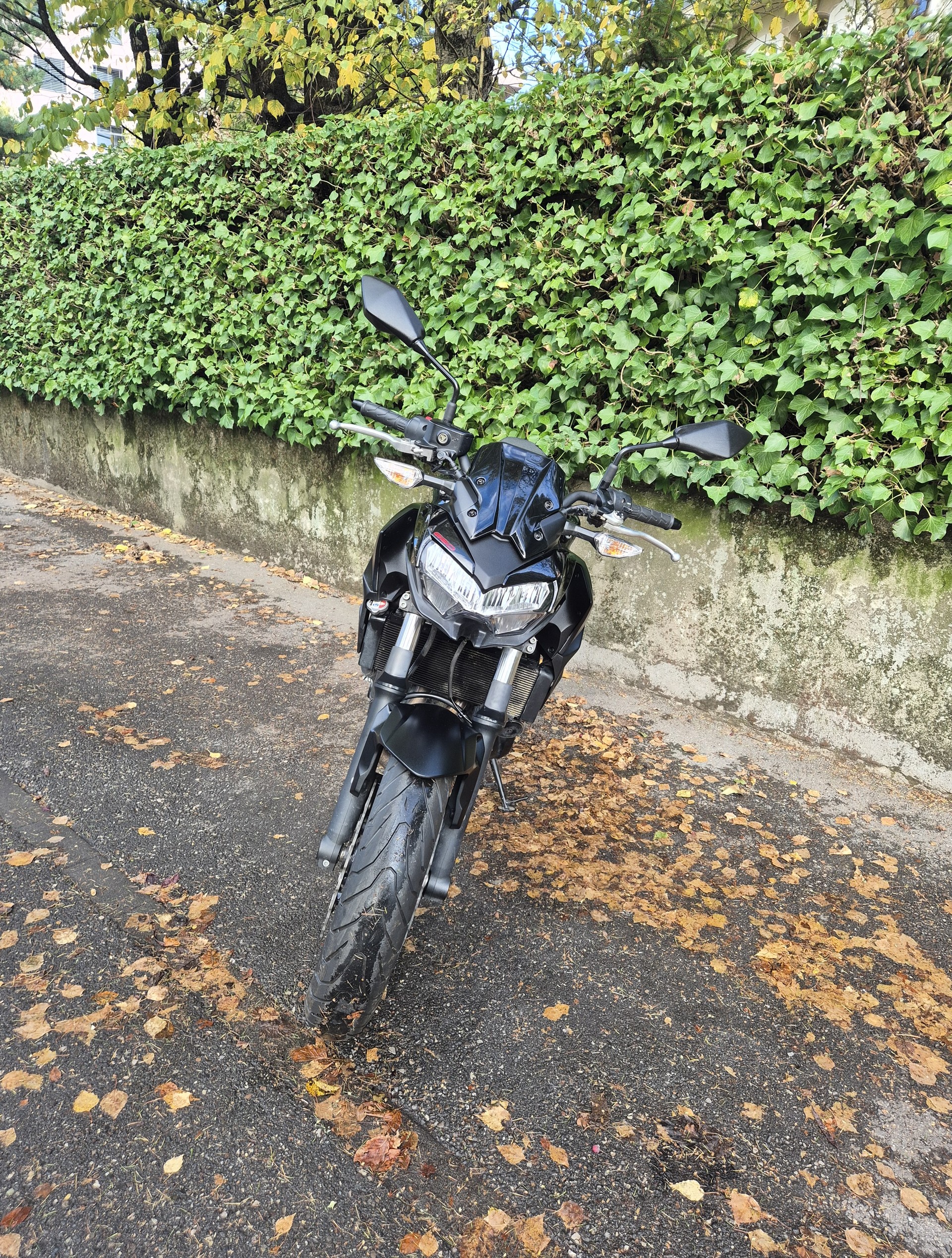 KAWASAKI Z 650 (35kW)-image-6