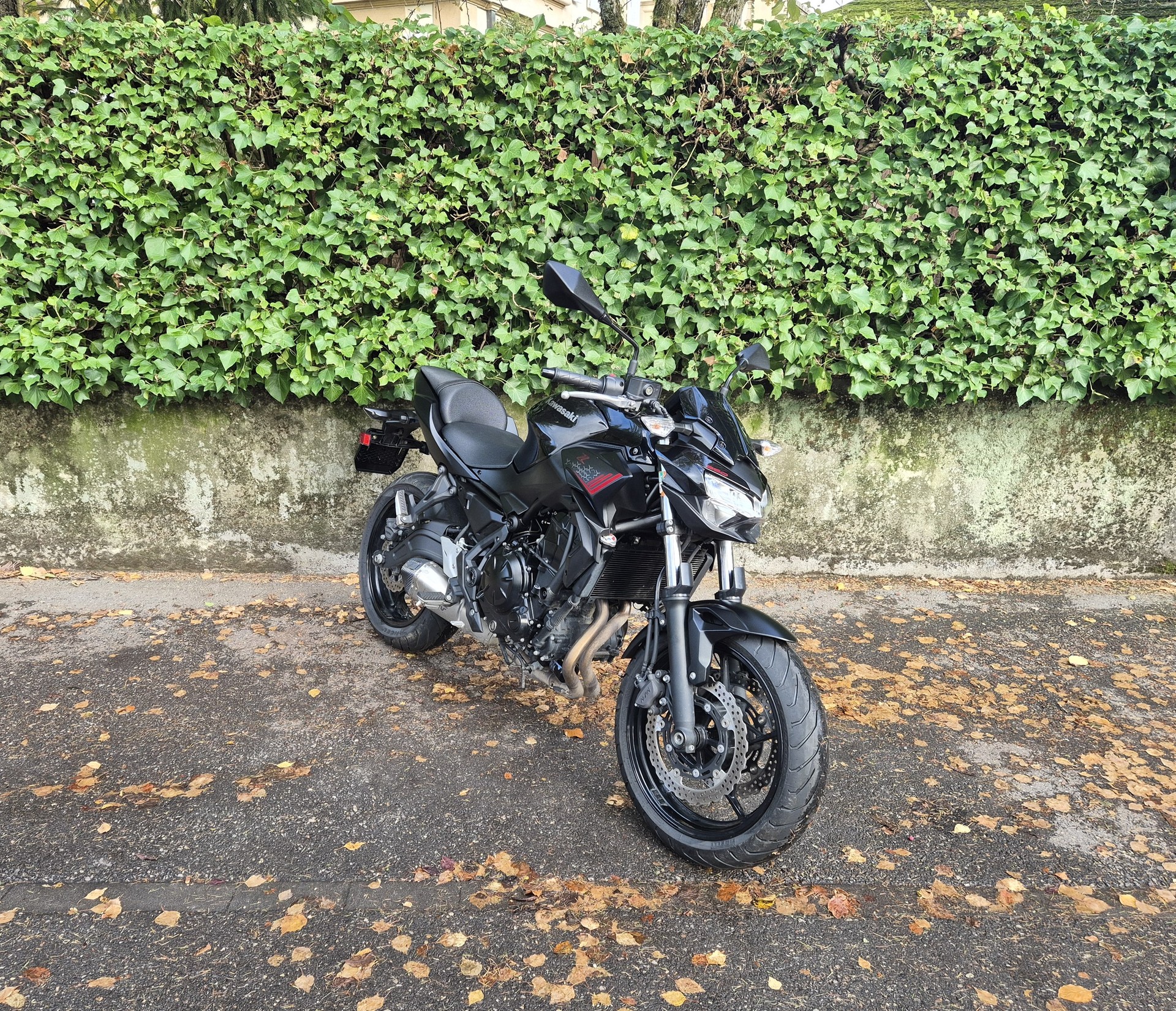 KAWASAKI Z 650 (35kW)-image-4