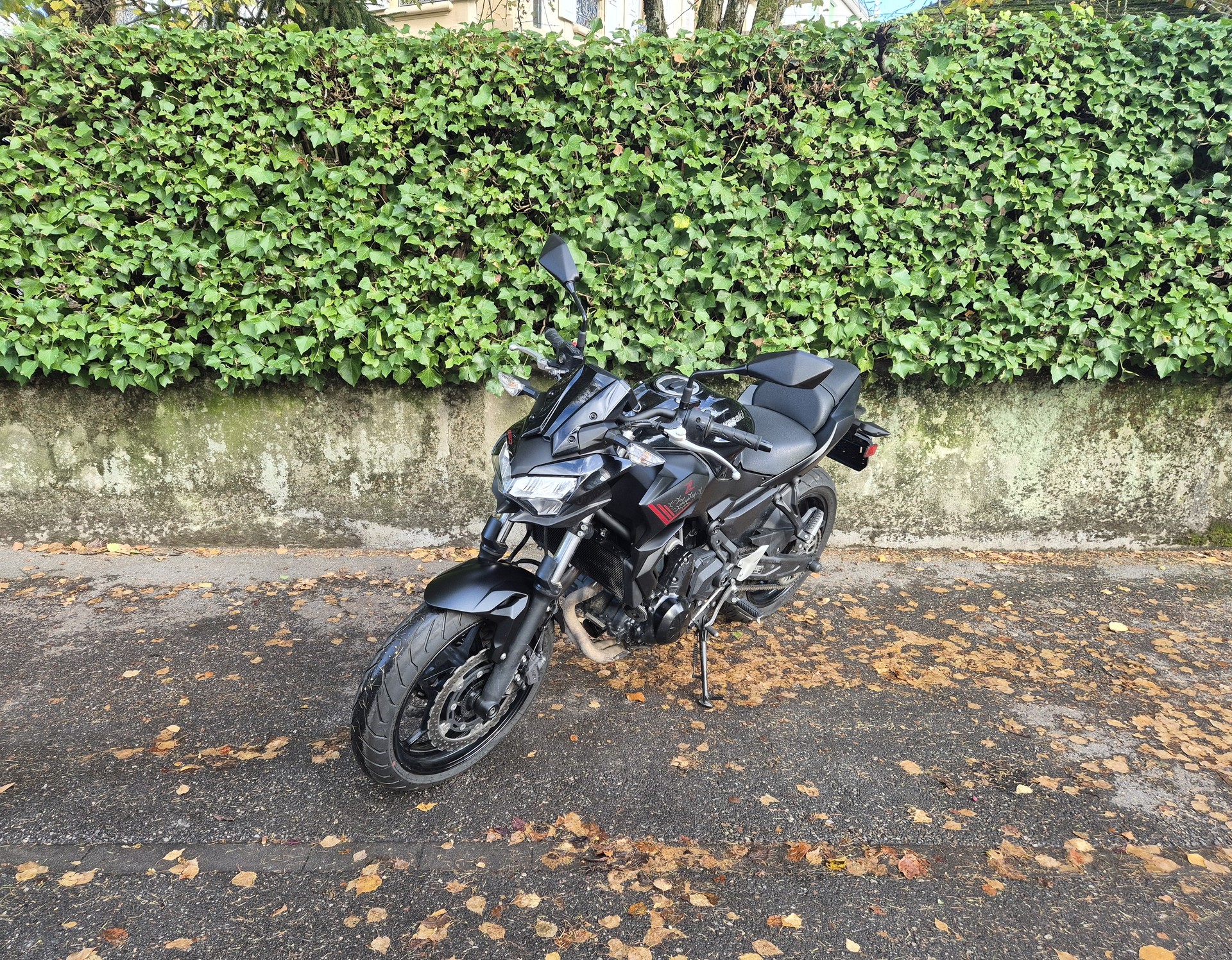 KAWASAKI Z 650 (35kW)-showroom-element-3