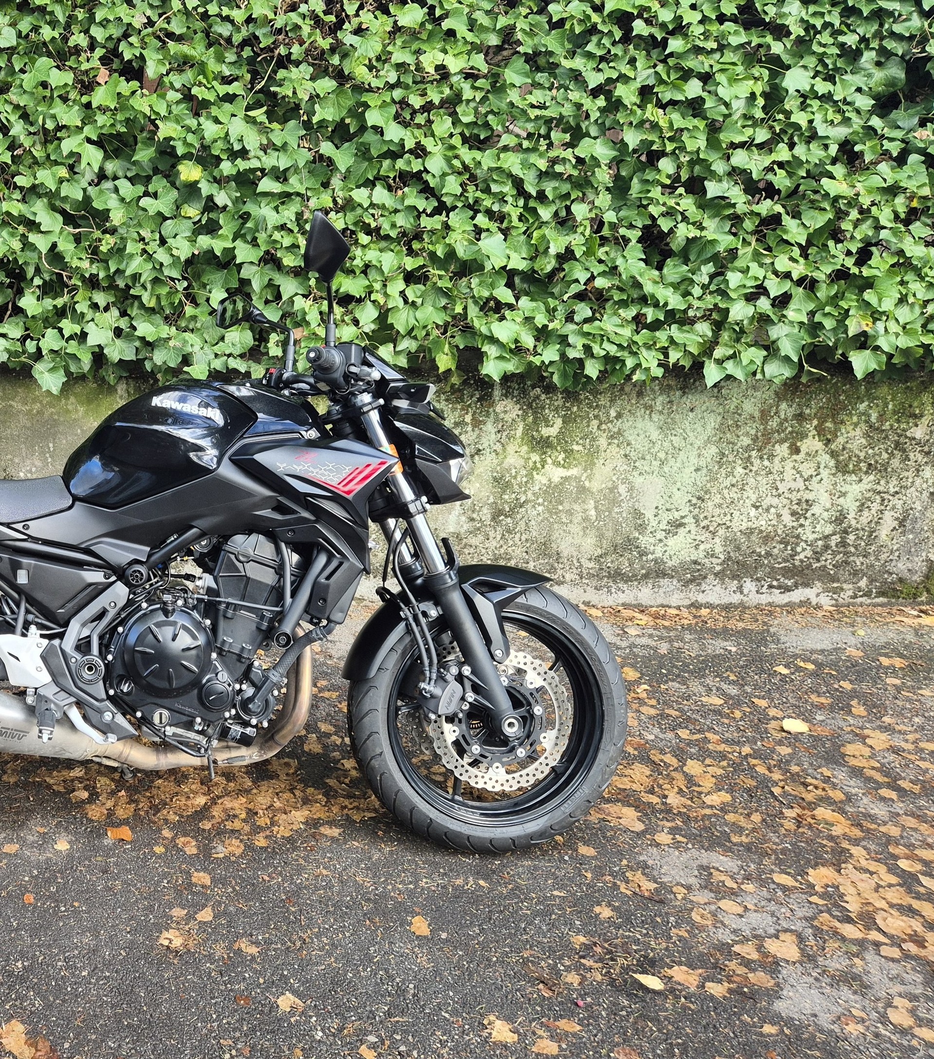 KAWASAKI Z 650 (35kW)-image-11