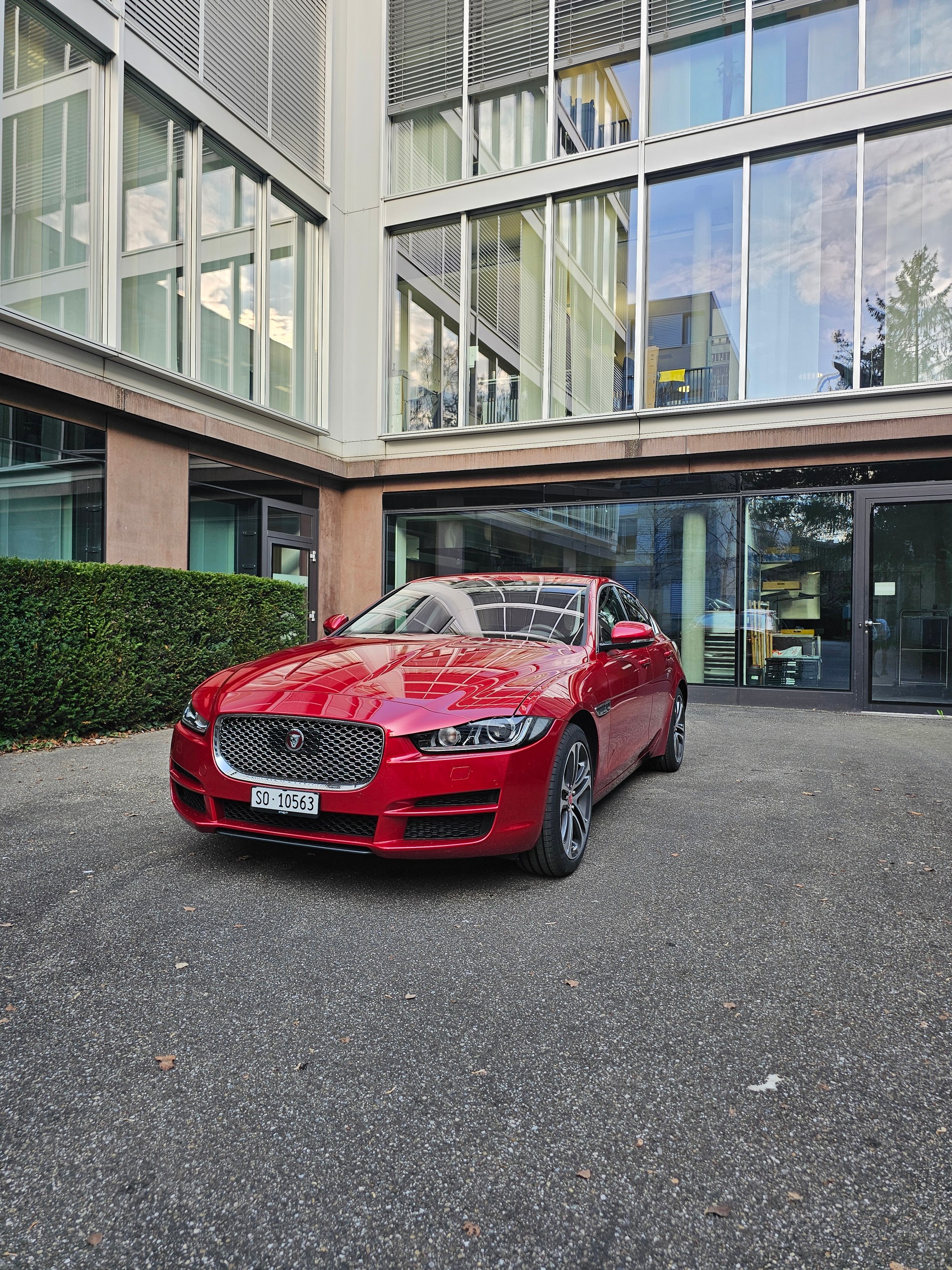 JAGUAR XE 30t 2.0 Portfolio AWD Automatic | Sternenhimmel-image-2