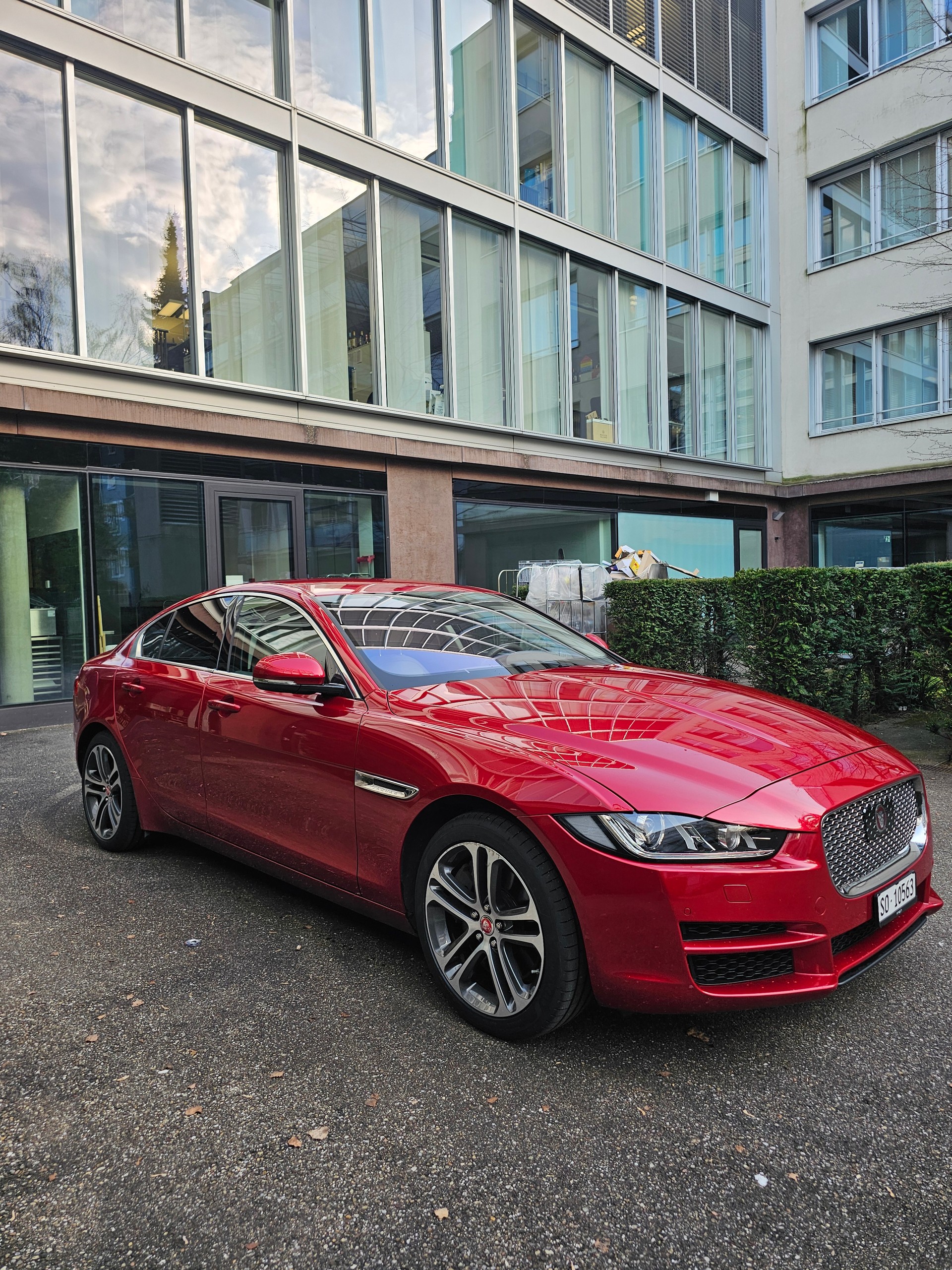 JAGUAR XE 30t 2.0 Portfolio AWD Automatic | Sternenhimmel-image-3