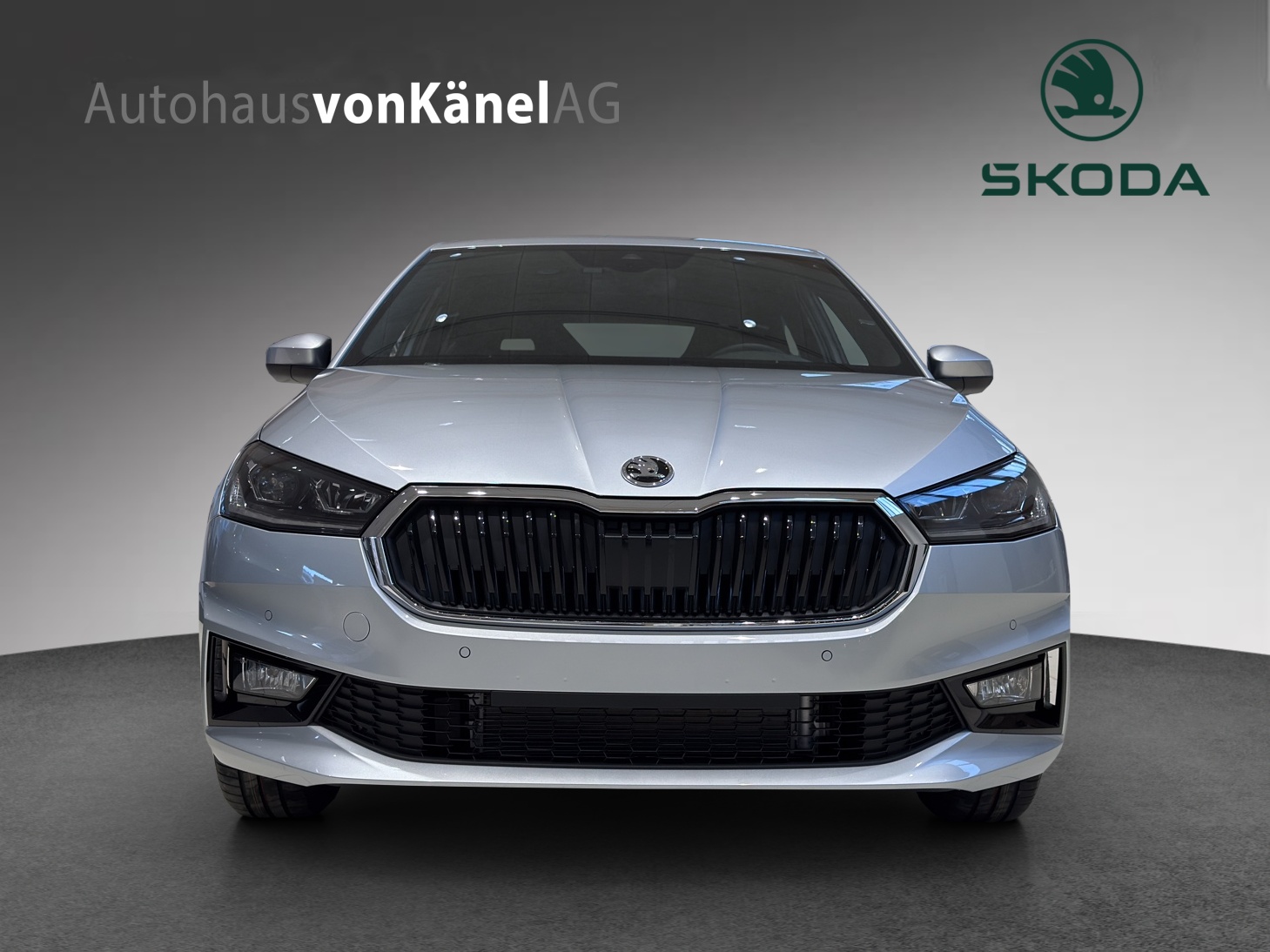 SKODA Fabia 1.0 TSI Dynamic DSG-showroom-element-3