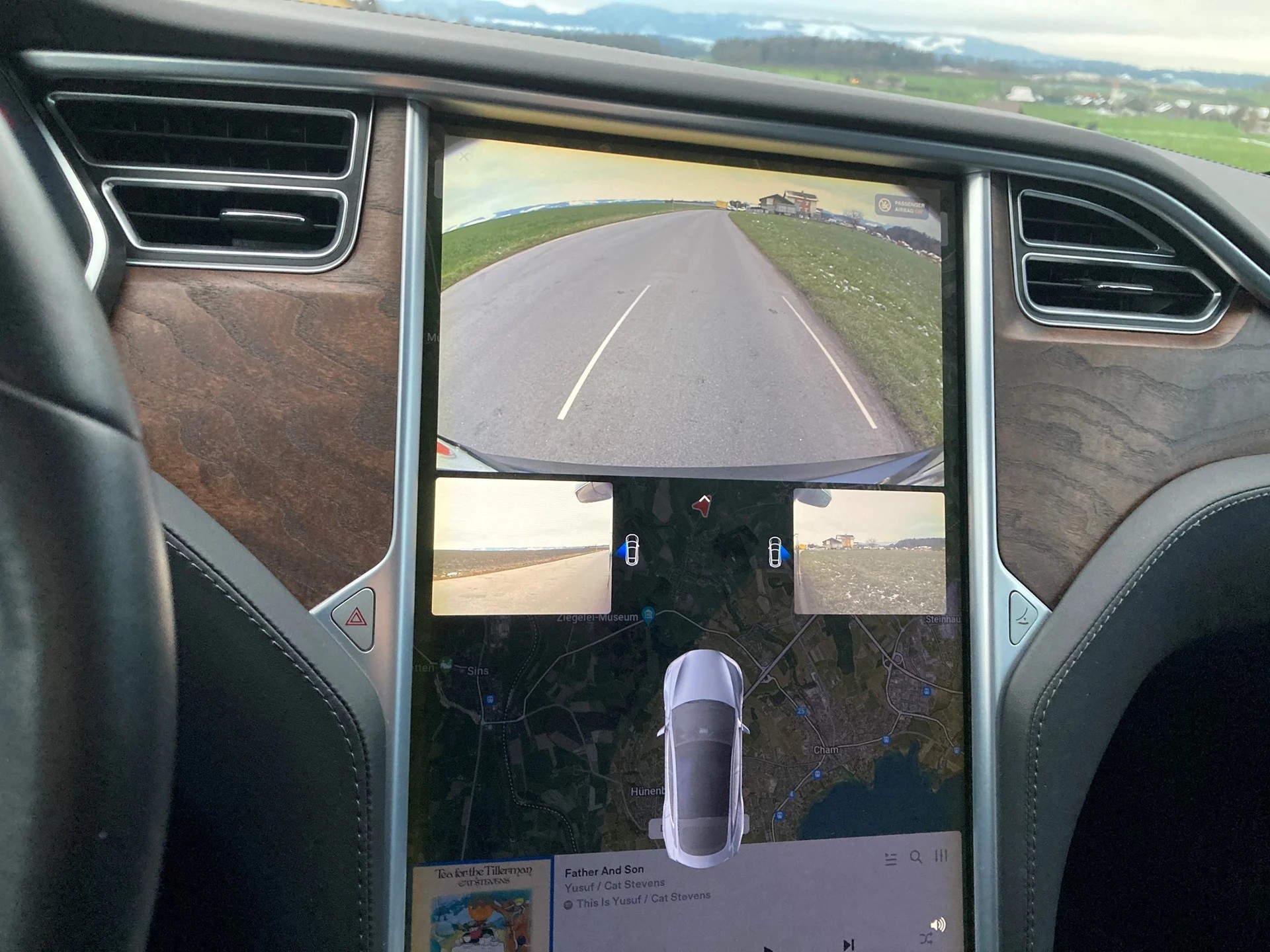 TESLA Model S 75 D 4x4-image-9