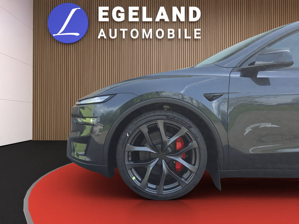 TESLA Model Y Performance AWD-image-9