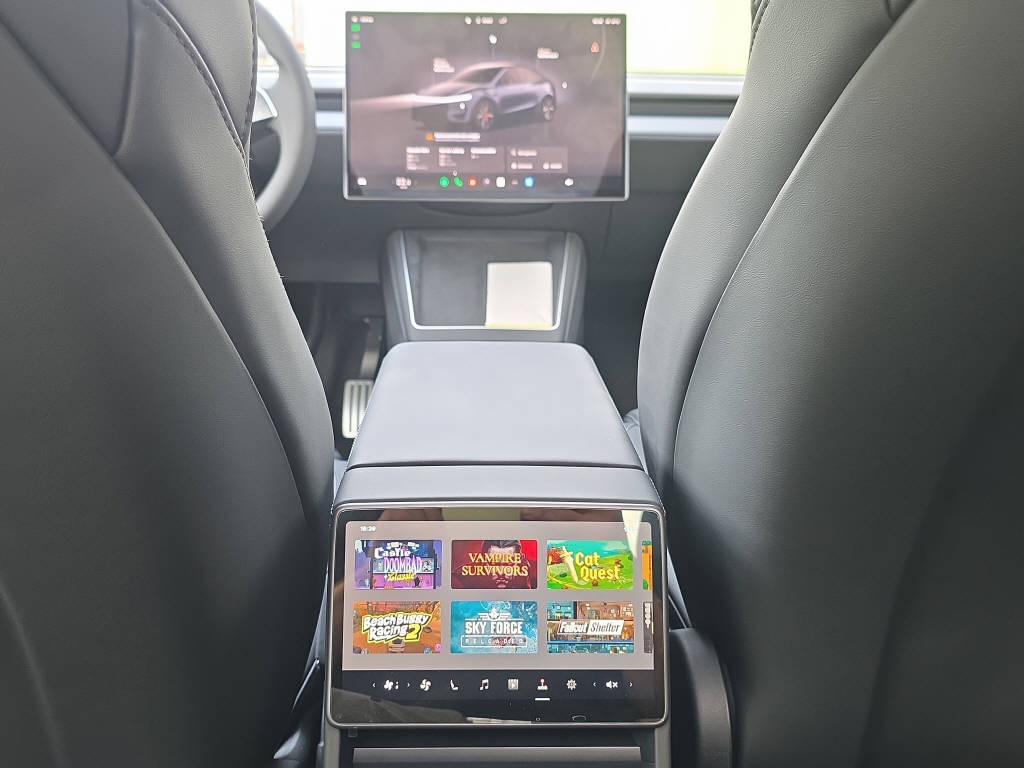 TESLA Model Y Performance AWD-image-21