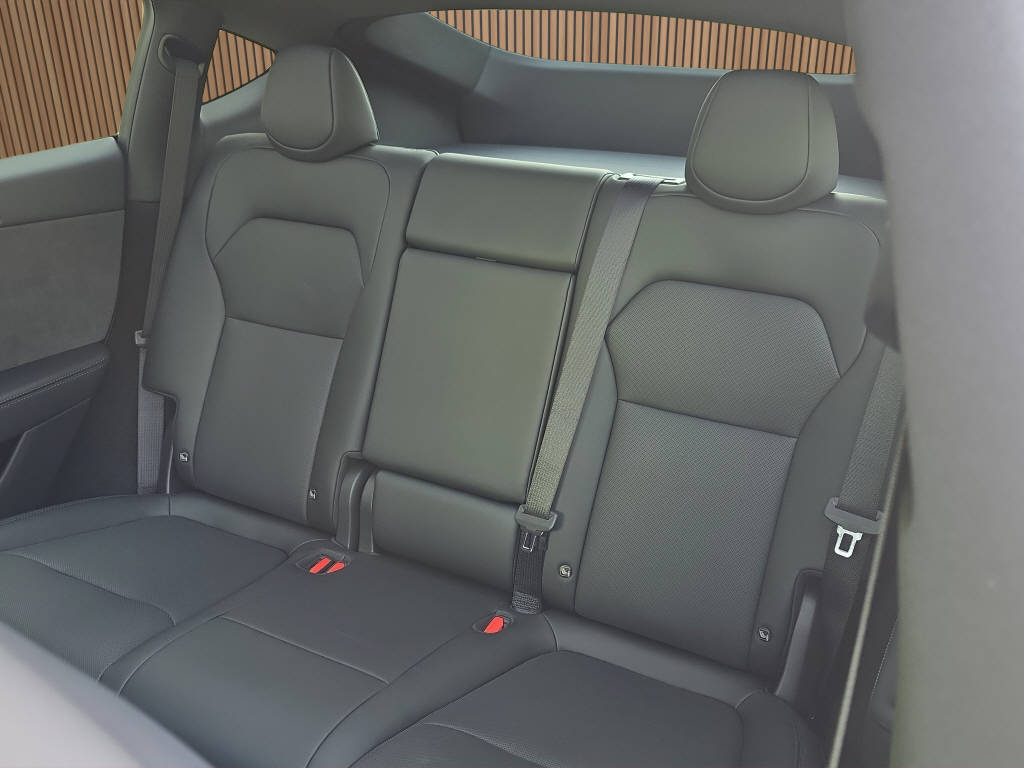 TESLA Model Y Performance AWD-image-19