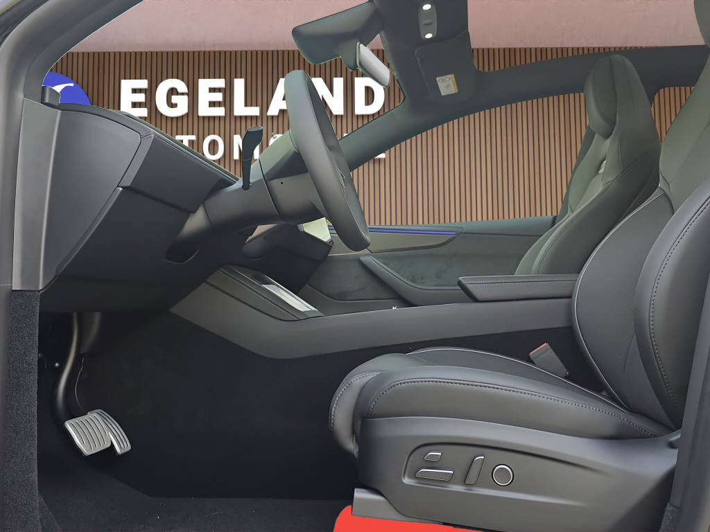 TESLA Model Y Performance AWD-image-10