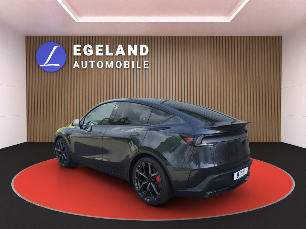 TESLA Model Y Performance AWD-image-4
