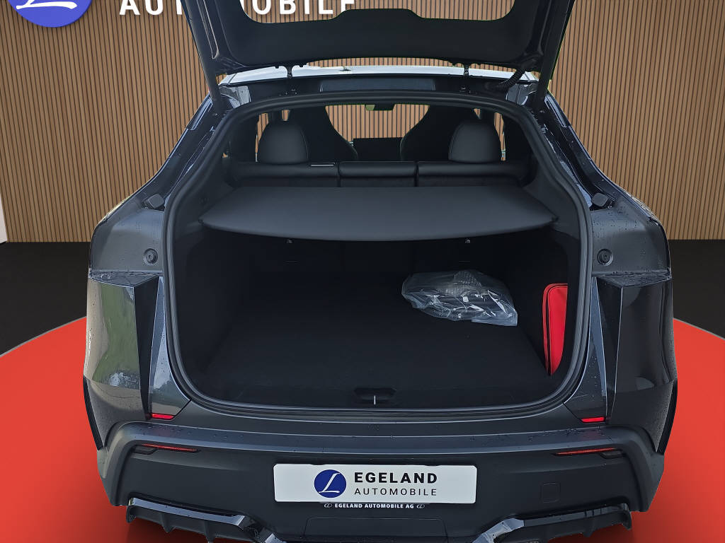 TESLA Model Y Performance AWD-image-14