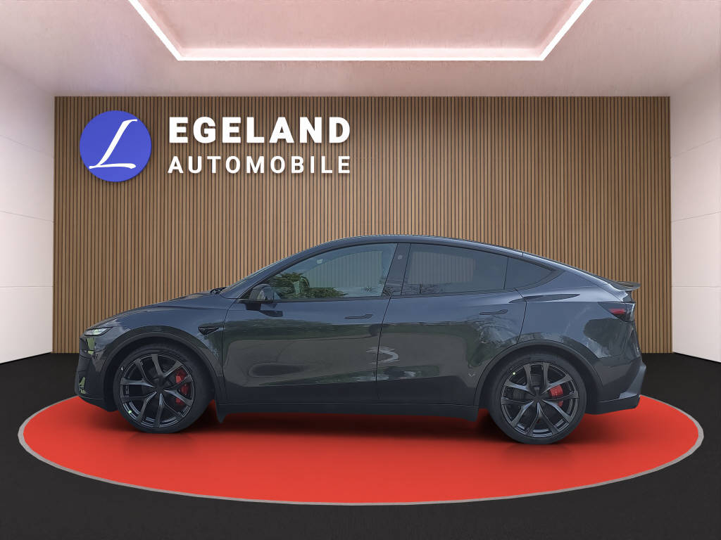TESLA Model Y Performance AWD-image-6