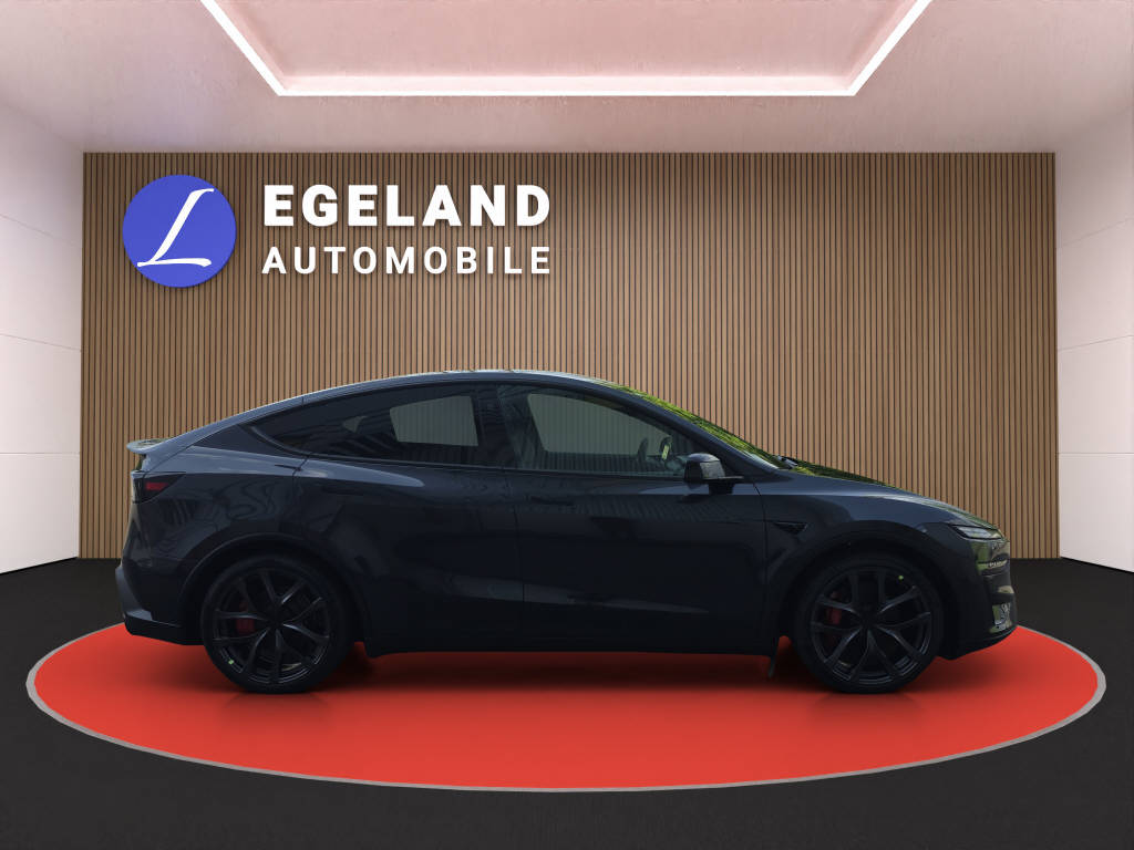 TESLA Model Y Performance AWD-image-7