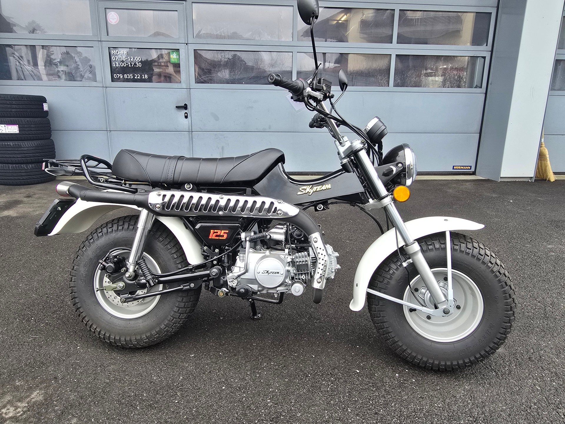 SKYTEAM T-Rex 125-image-0