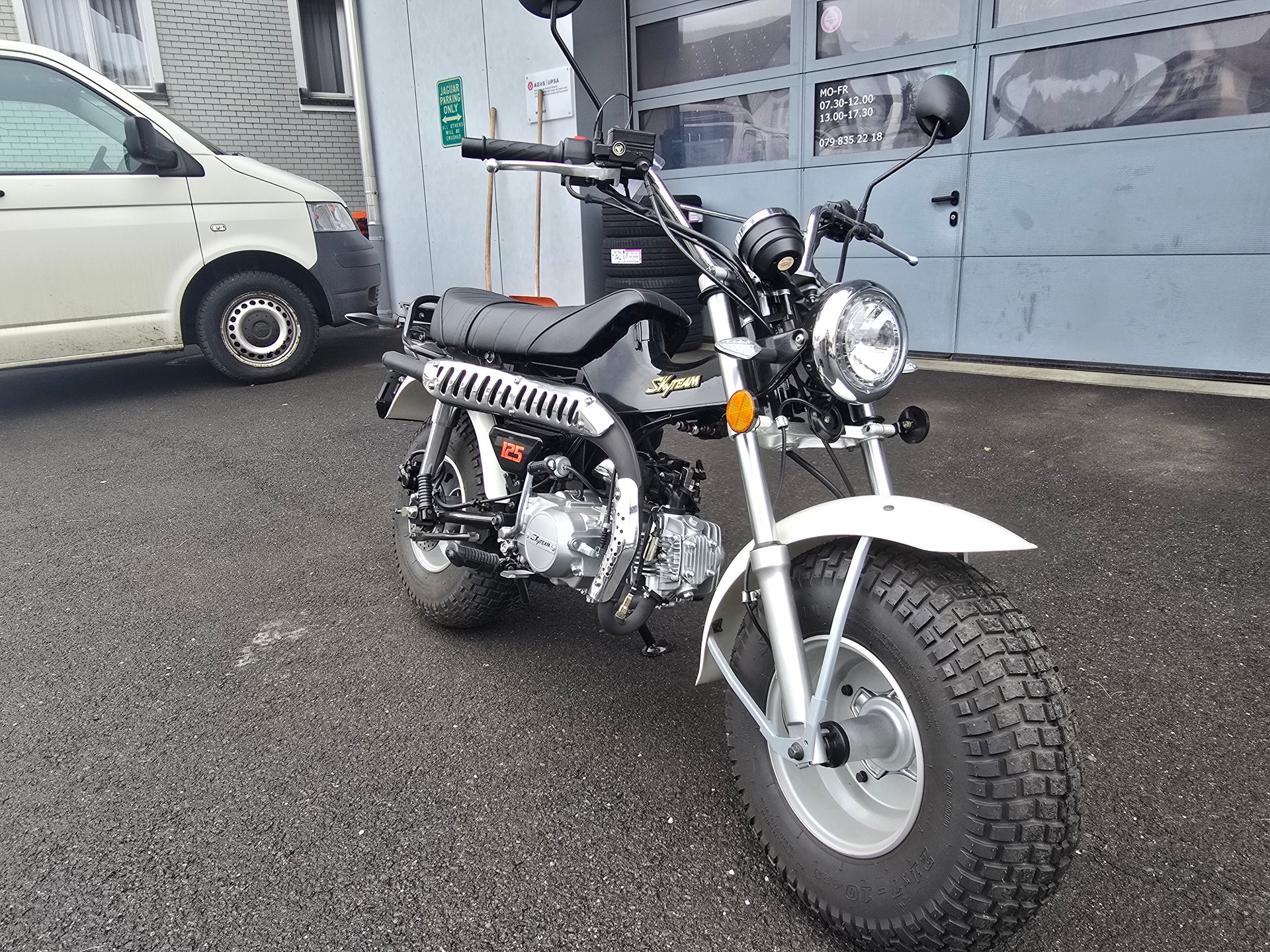 SKYTEAM T-Rex 125-image-1