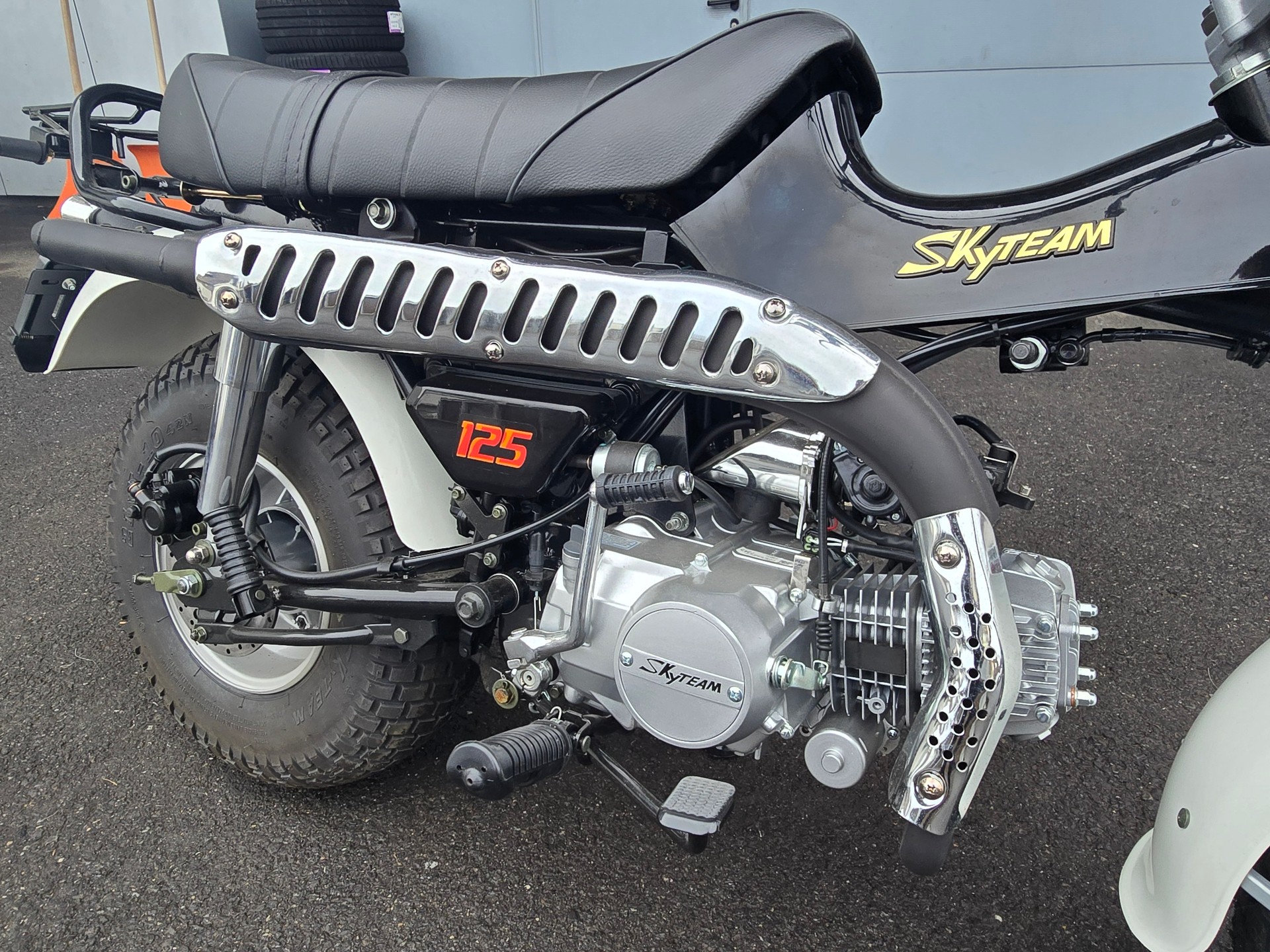 SKYTEAM T-Rex 125-image-4