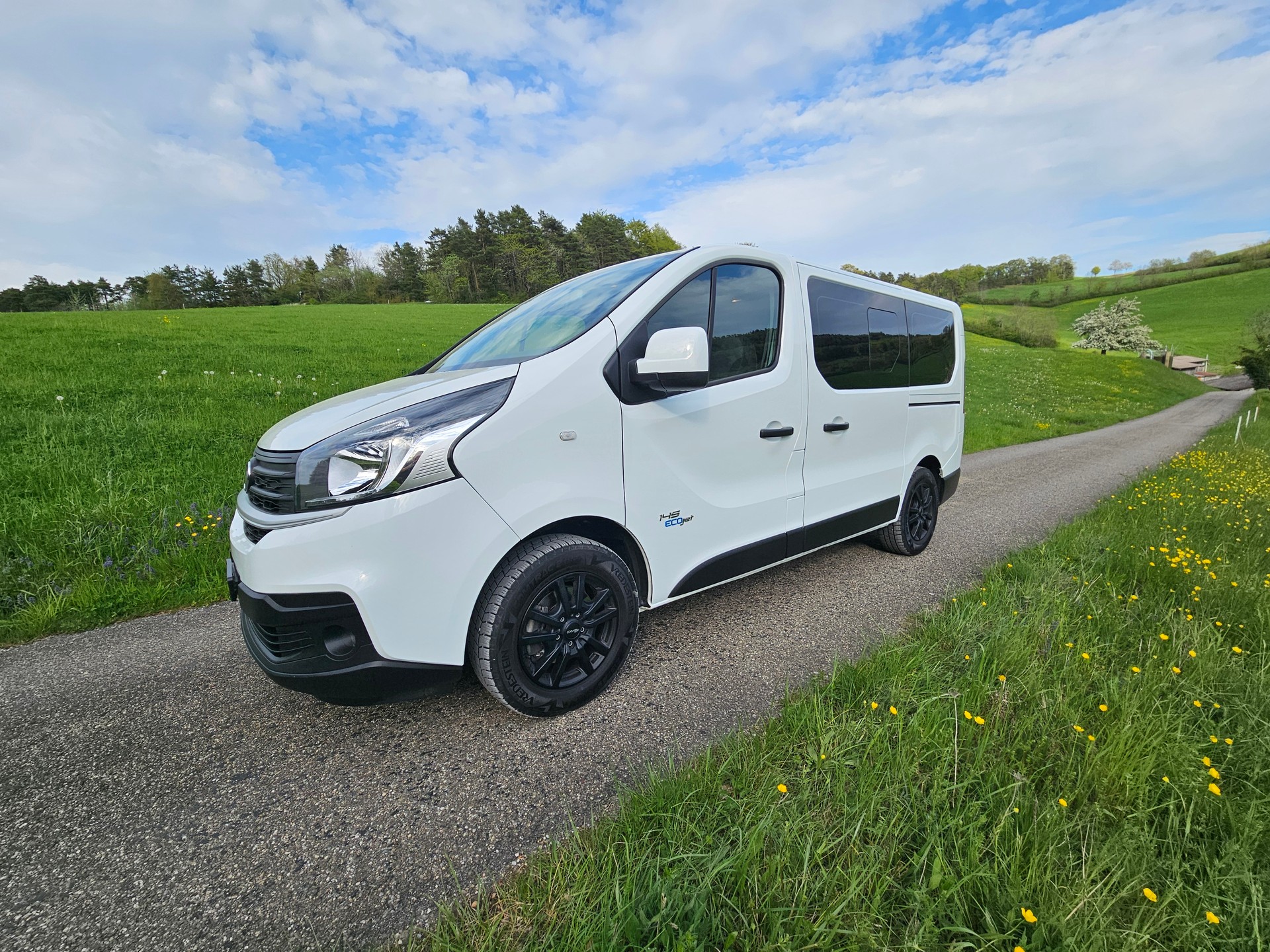 FIAT 2.0 dCi L1H1-image-1
