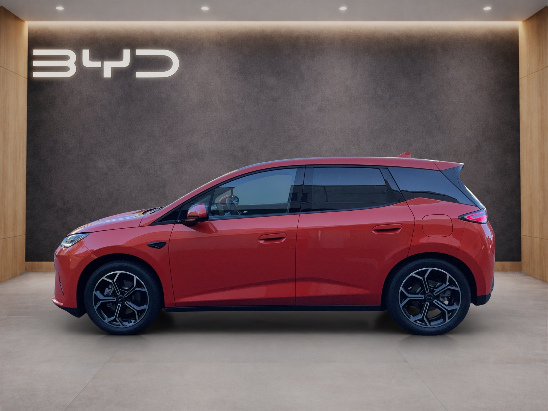 BYD Dolphin G DM-i Comfort-showroom-element-2