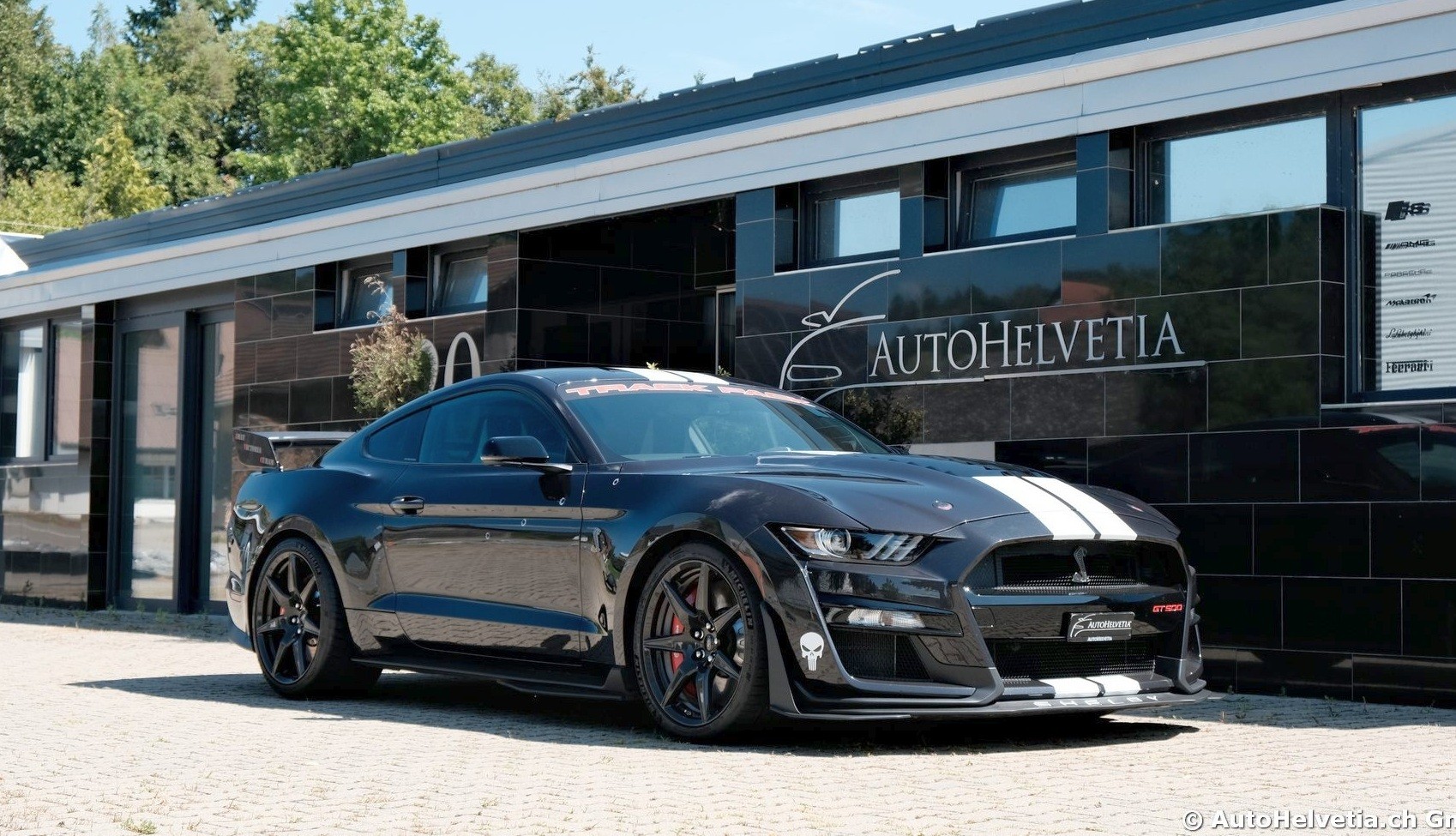 FORD Mustang Shelby GT 500 - Carbon Fiber Track Pack Predator GT500