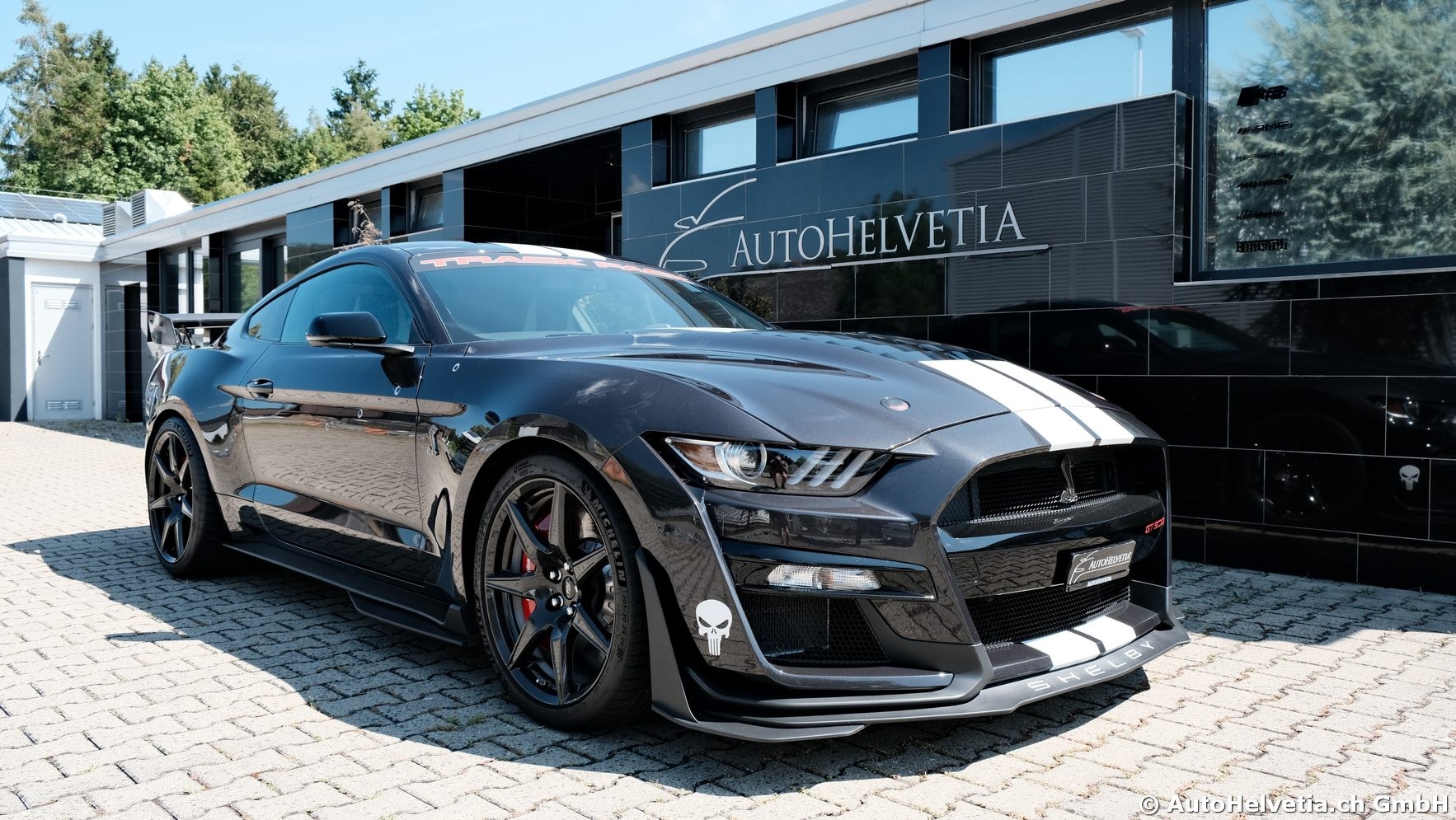 FORD Mustang Shelby GT 500 - Carbon Fiber Track Pack Predator GT500-showroom-element-1