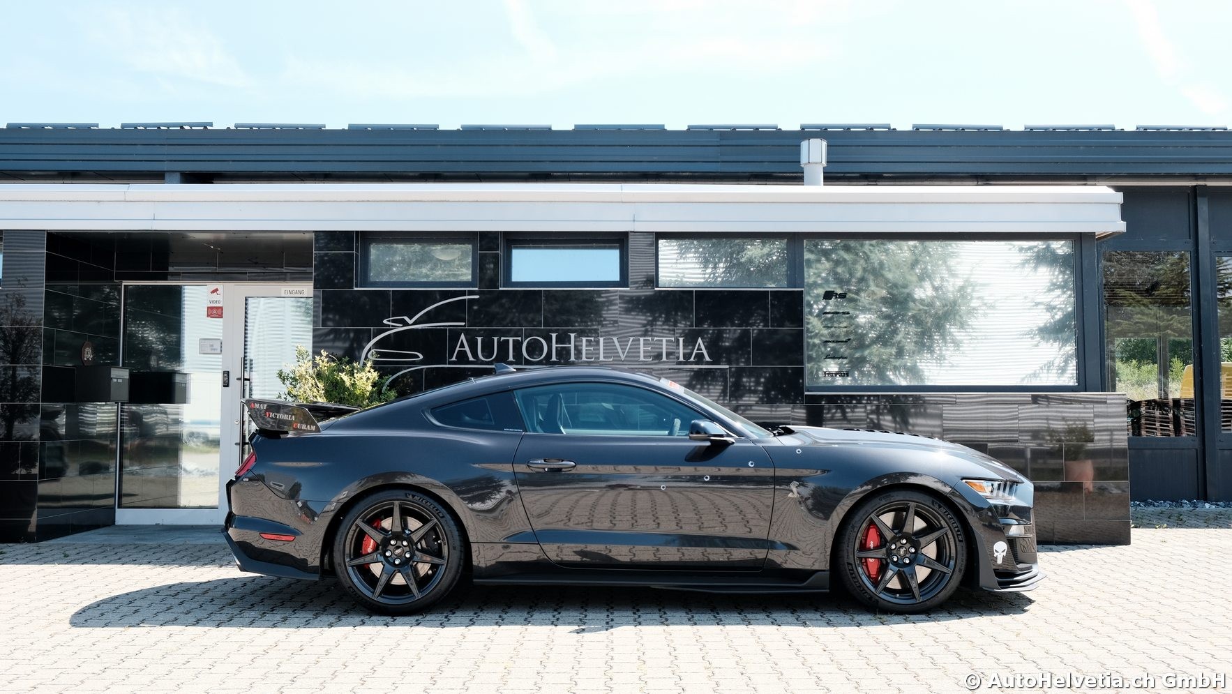 FORD Mustang Shelby GT 500 - Carbon Fiber Track Pack Predator GT500-showroom-element-3