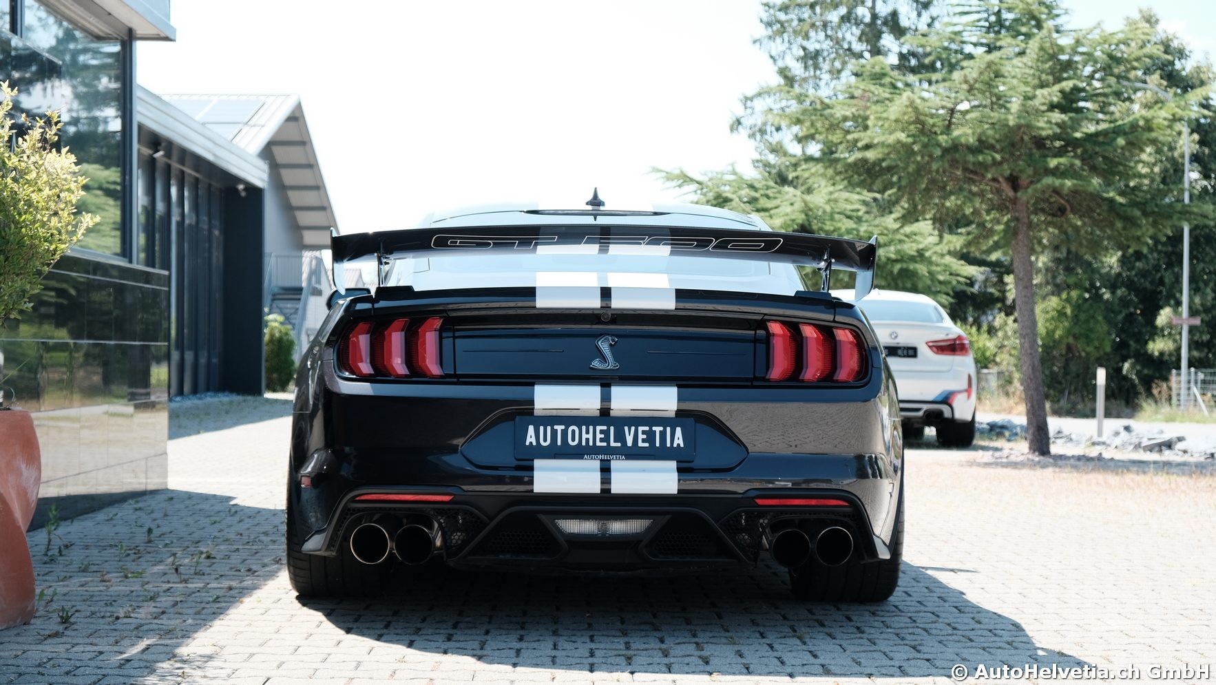 FORD Mustang Shelby GT 500 - Carbon Fiber Track Pack Predator GT500-image-6