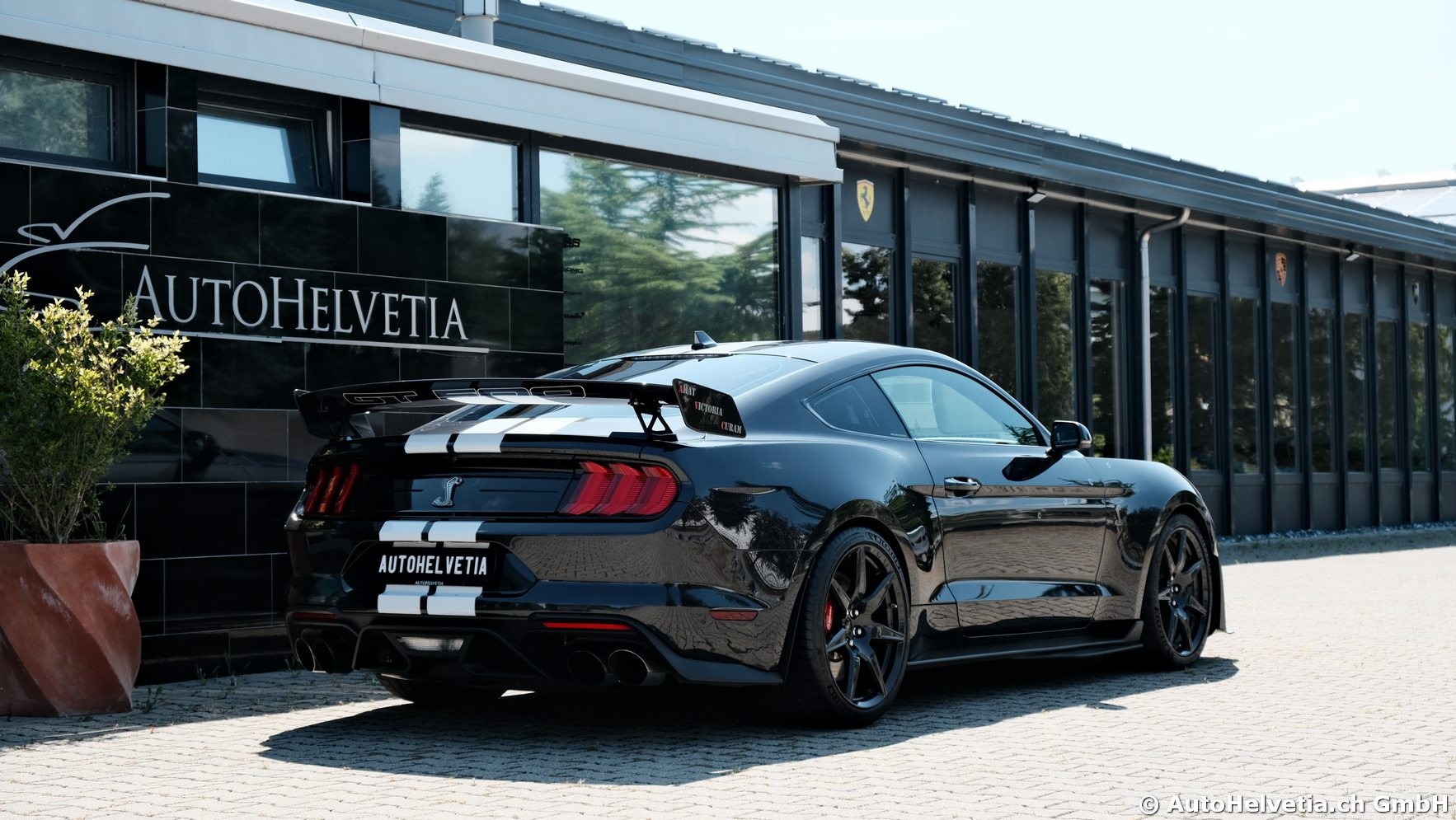 FORD Mustang Shelby GT 500 - Carbon Fiber Track Pack Predator GT500-image-4