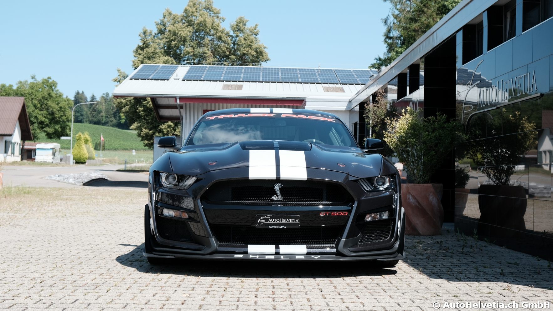 FORD Mustang Shelby GT 500 - Carbon Fiber Track Pack Predator GT500-showroom-element-2