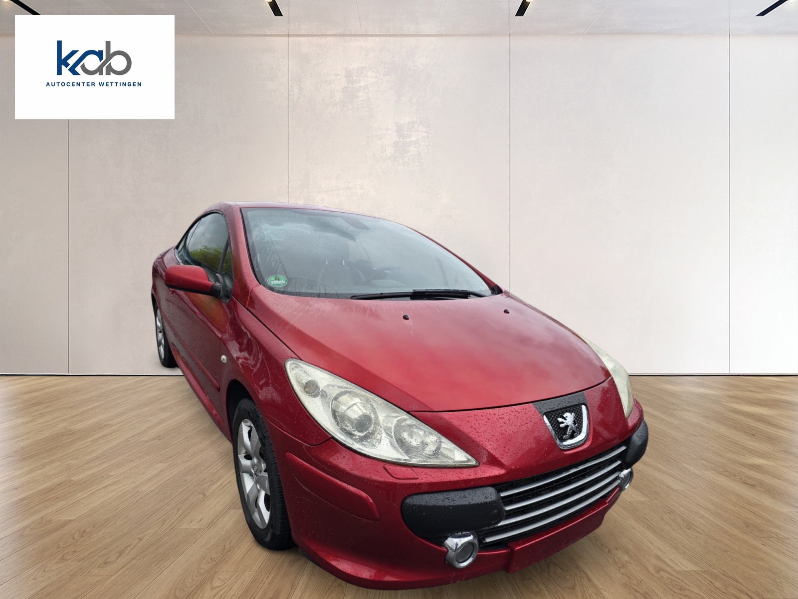 PEUGEOT 307 CC 2.0 16V Dynamic-showroom-element-2