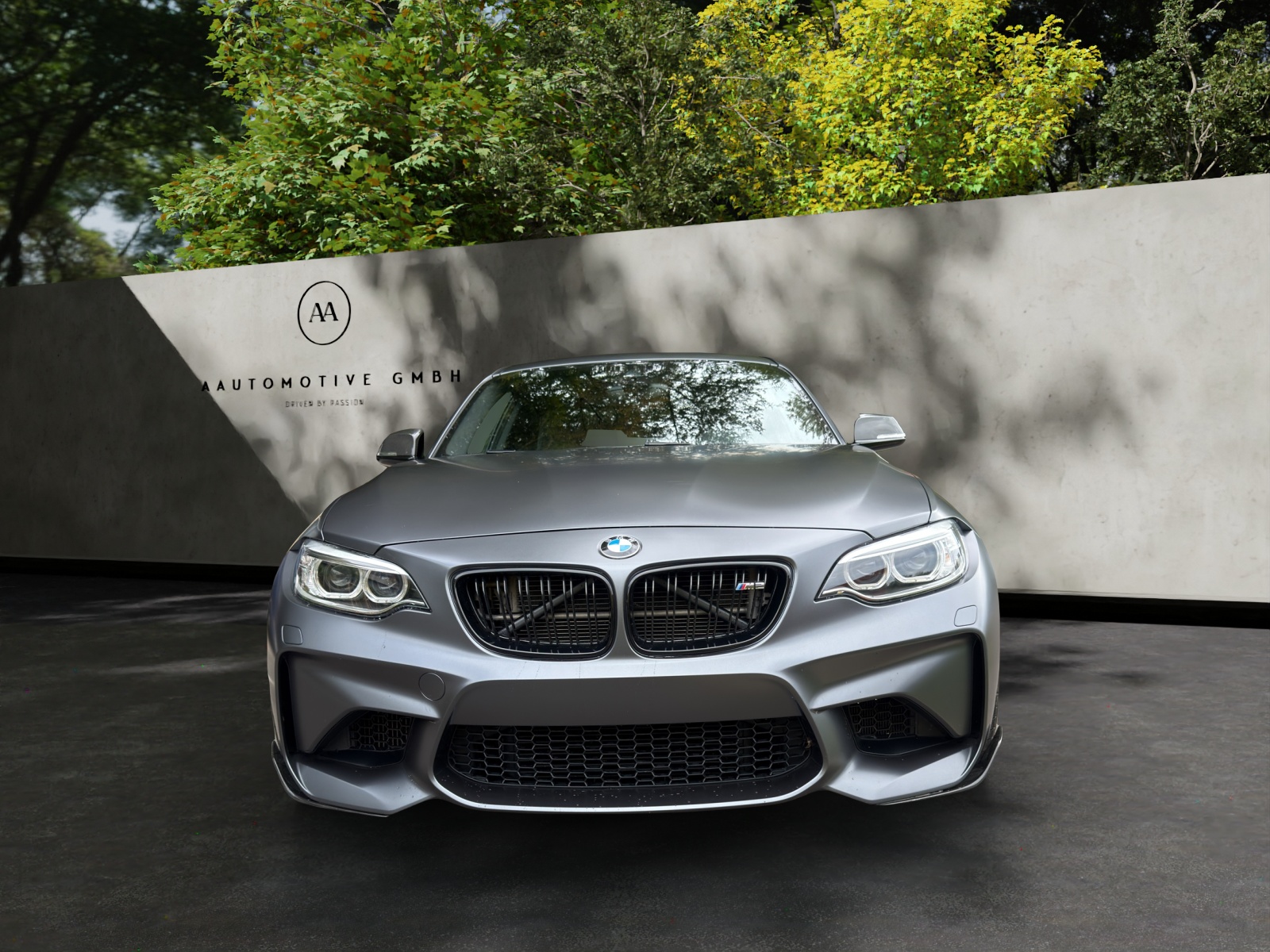 BMW M2 Drivelogic-showroom-element-1