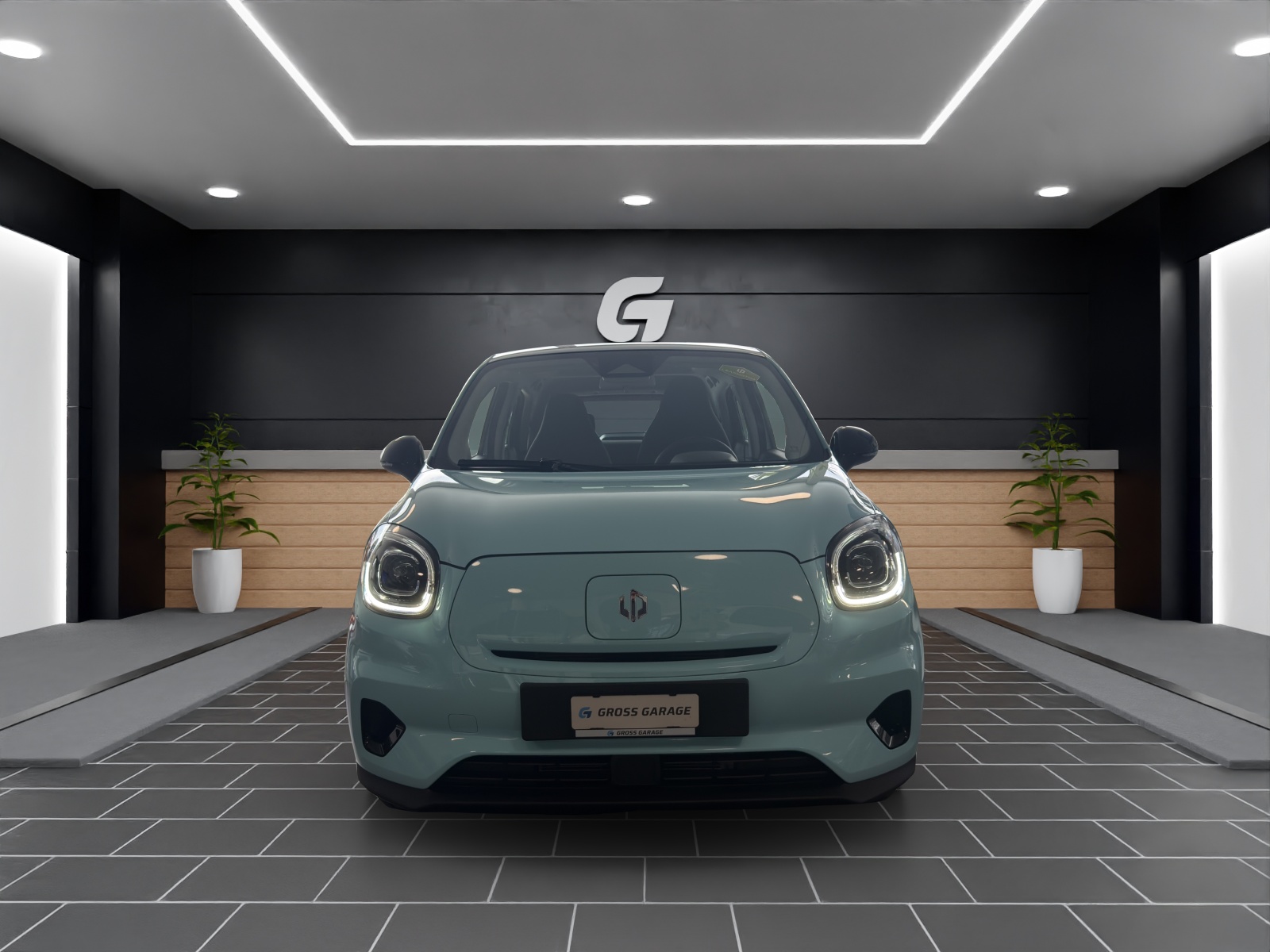 LEAPMOTOR T03 37kWh-showroom-element-1