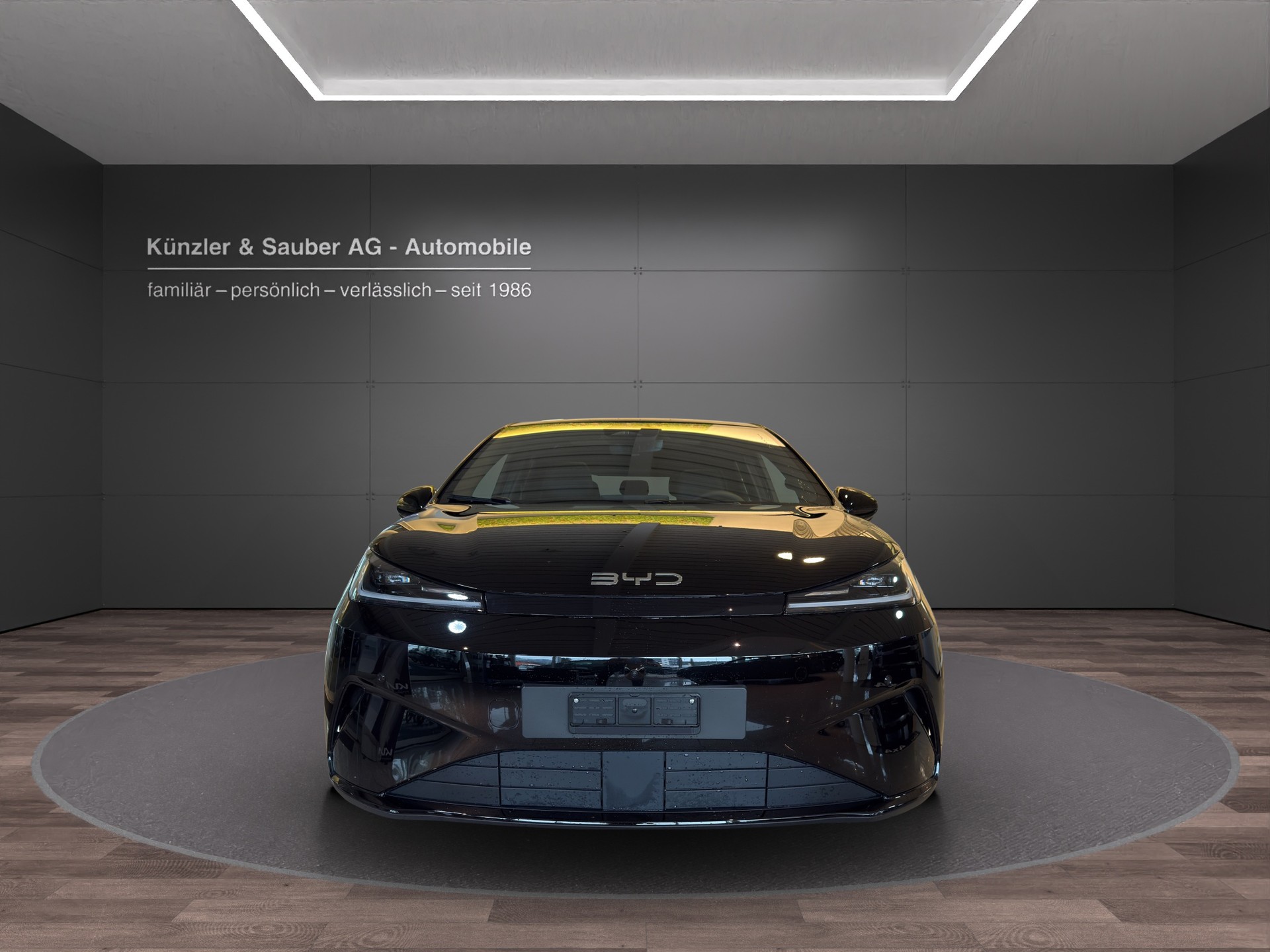BYD Dolphin G DM-i Comfort-showroom-element-3