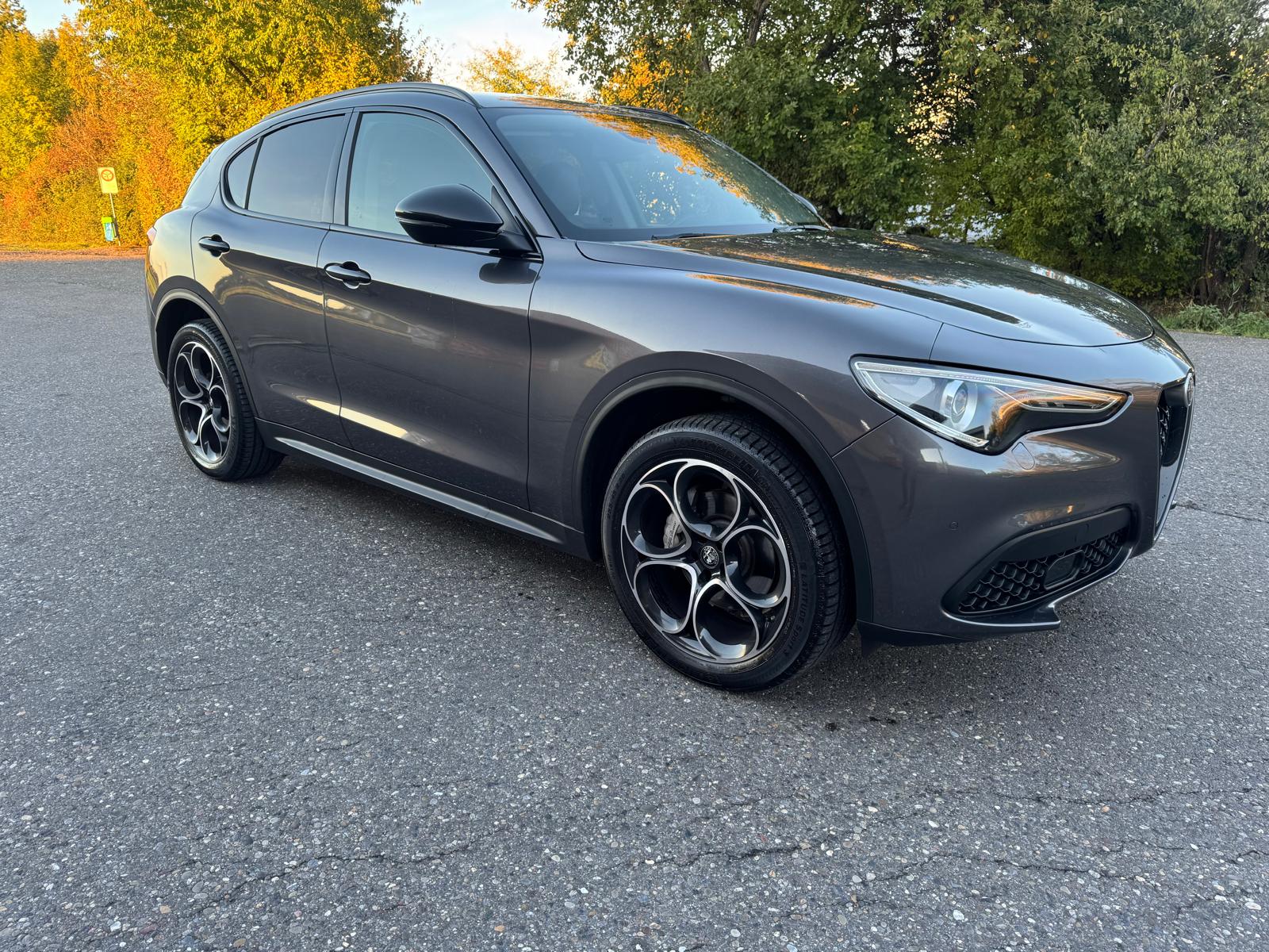 ALFA ROMEO Stelvio 2.2 JTDM Super Q4 Automatic-showroom-element-2