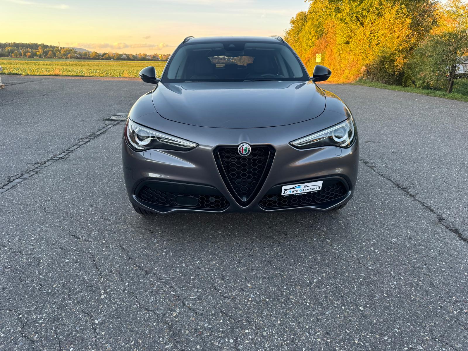 ALFA ROMEO Stelvio 2.2 JTDM Super Q4 Automatic
