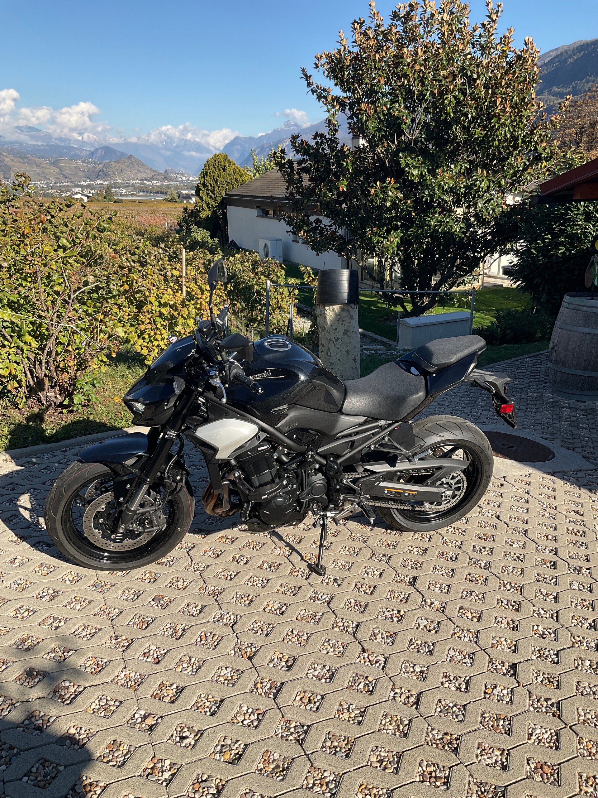 KAWASAKI Z 900 Performance (70kW)-image-1
