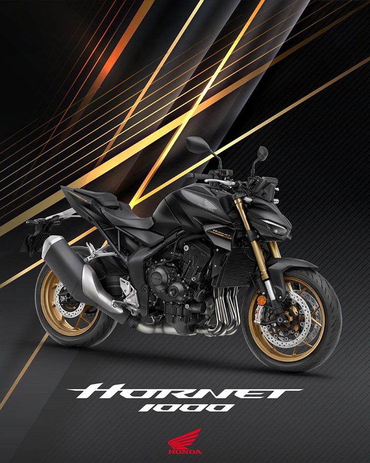 HONDA CB 1000 Hornet SP-image-15