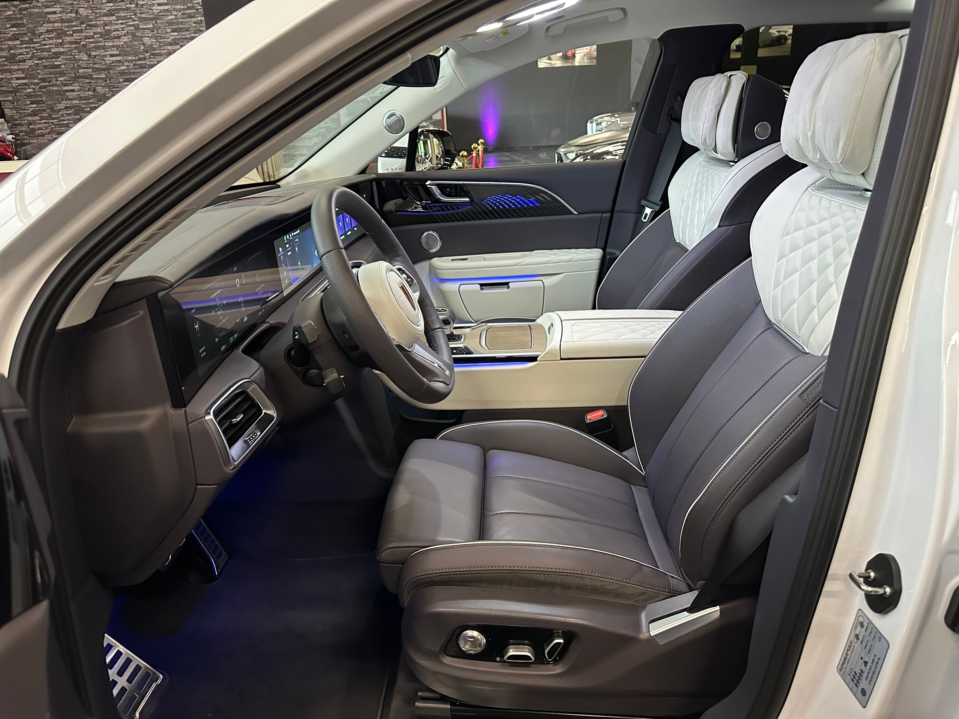 HONGQI E-HS9 Exclusive+ 120 kWh-image-9