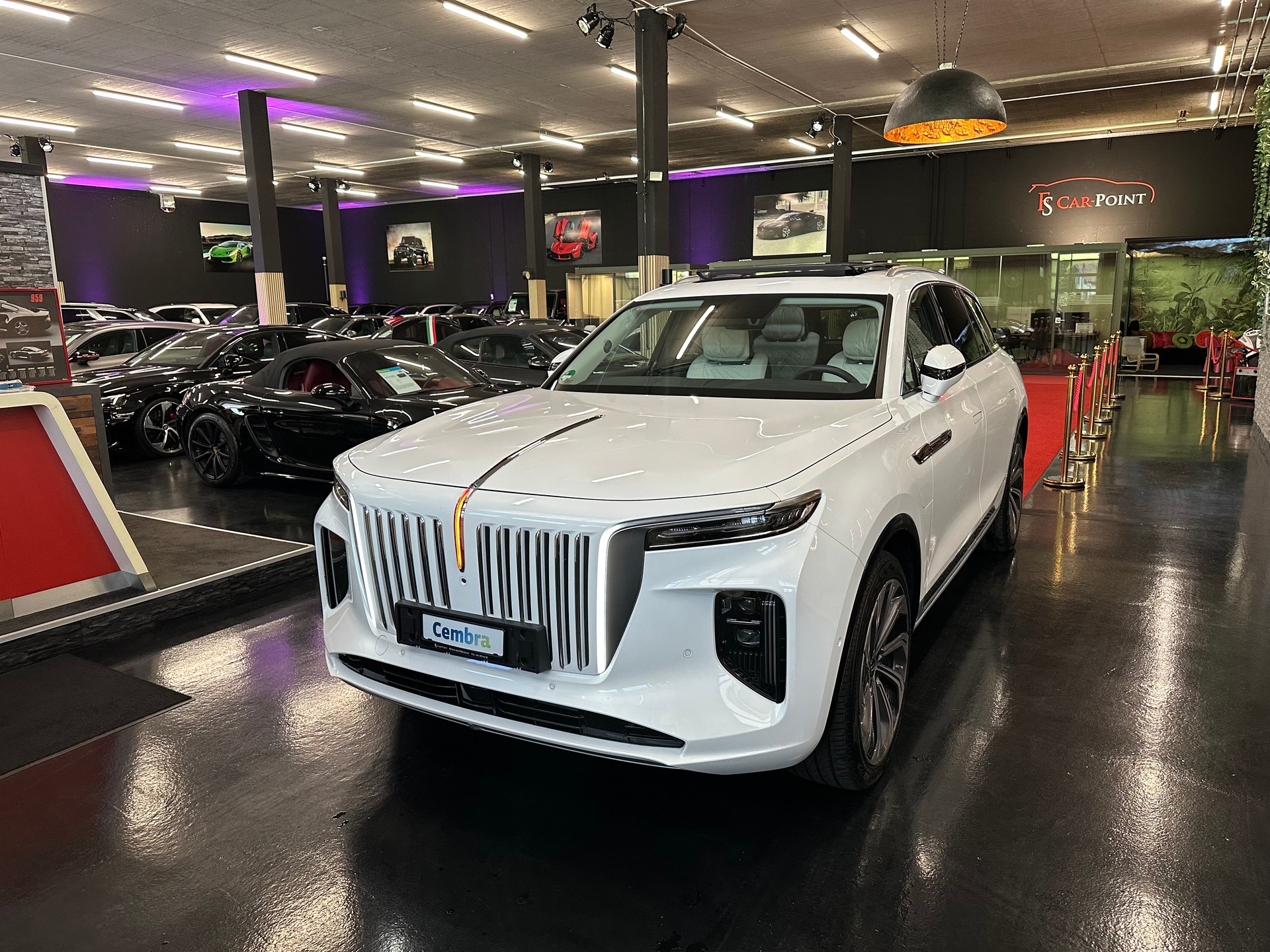HONGQI E-HS9 Exclusive+ 120 kWh-image-41