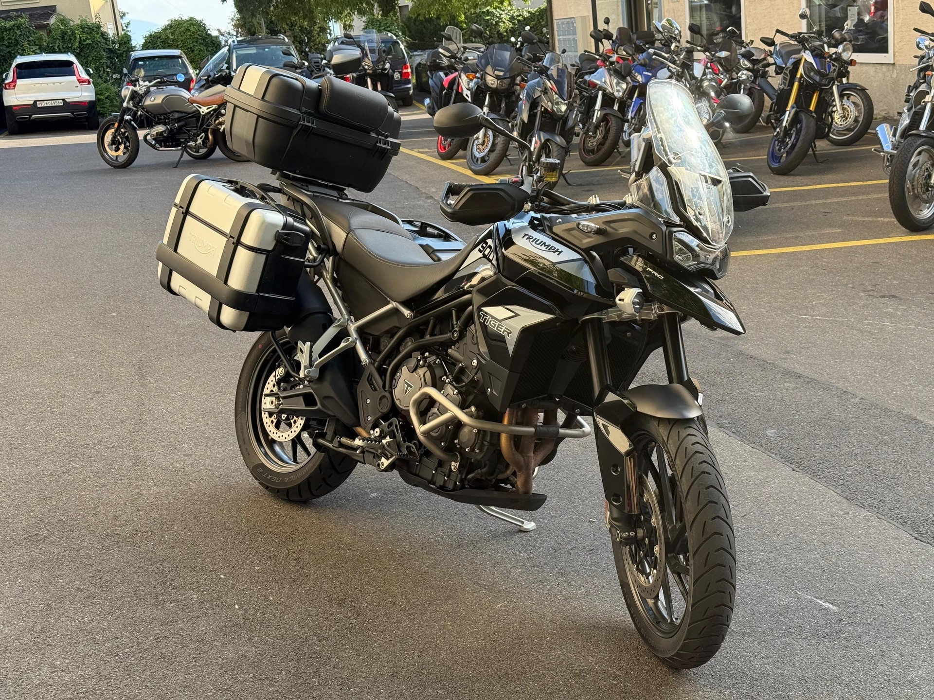 TRIUMPH Tiger 900 GT Pro-image-1