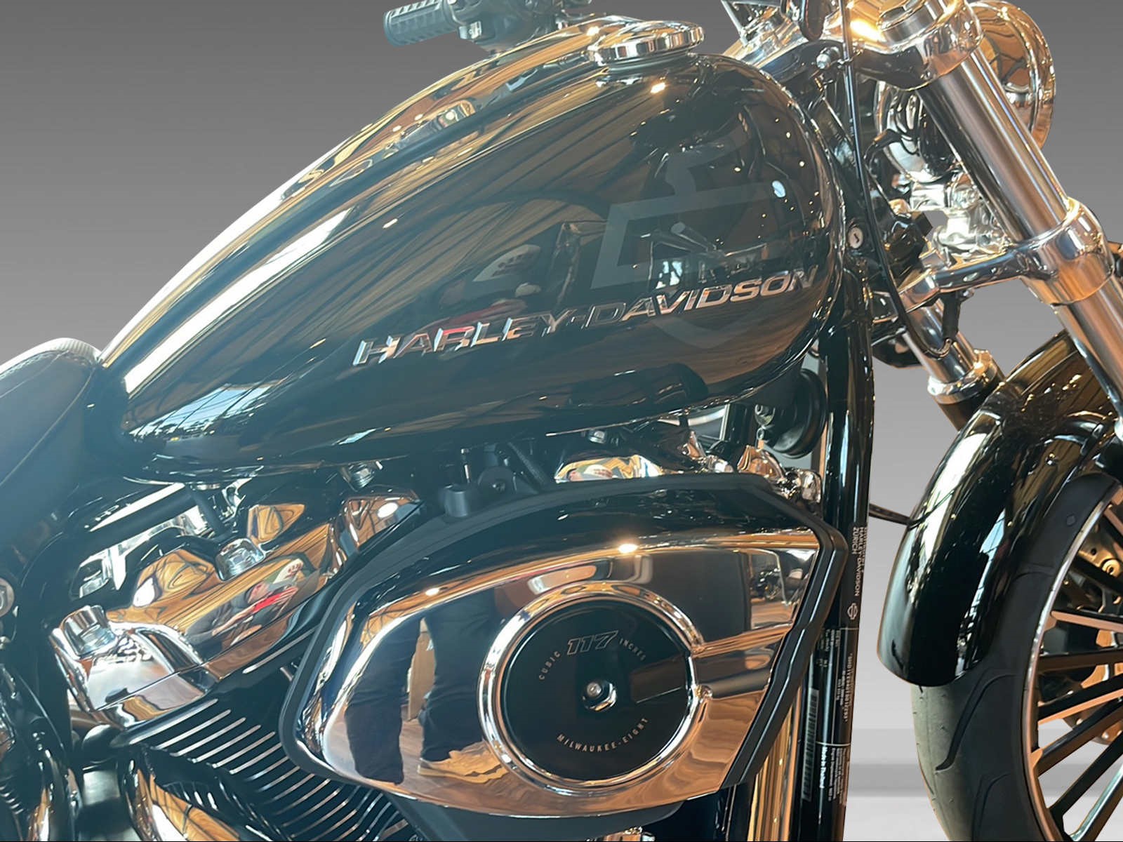 HARLEY-DAVIDSON FXBR Breakout 117-image-8