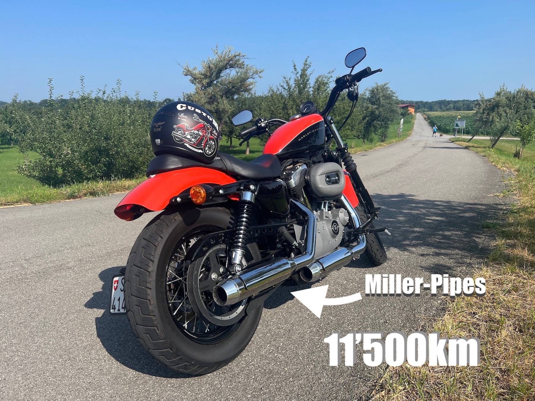HARLEY-DAVIDSON XL 1200 N Sportster Nightster-image-1