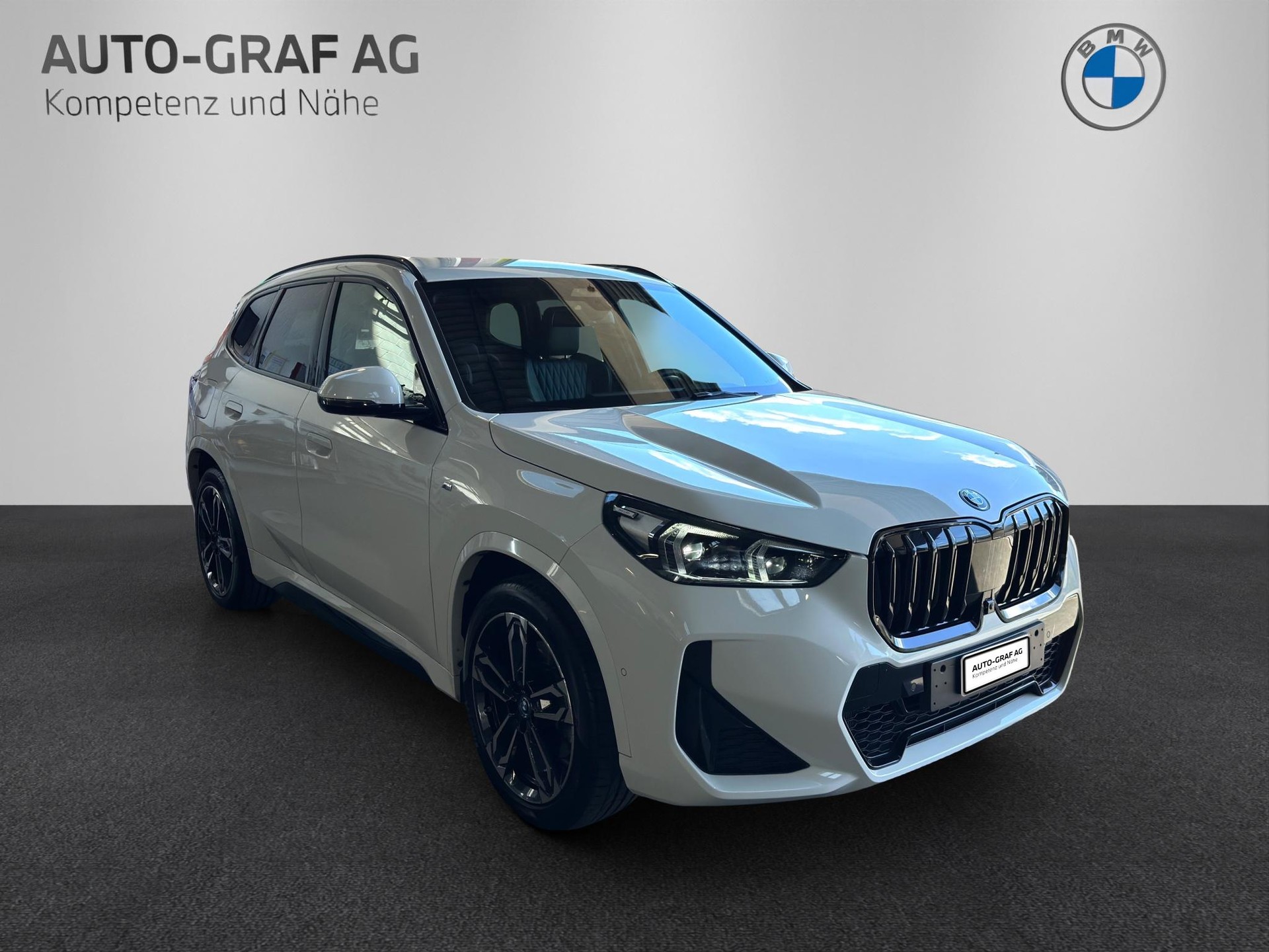 BMW X1 25e M Sport xDrive-image-6